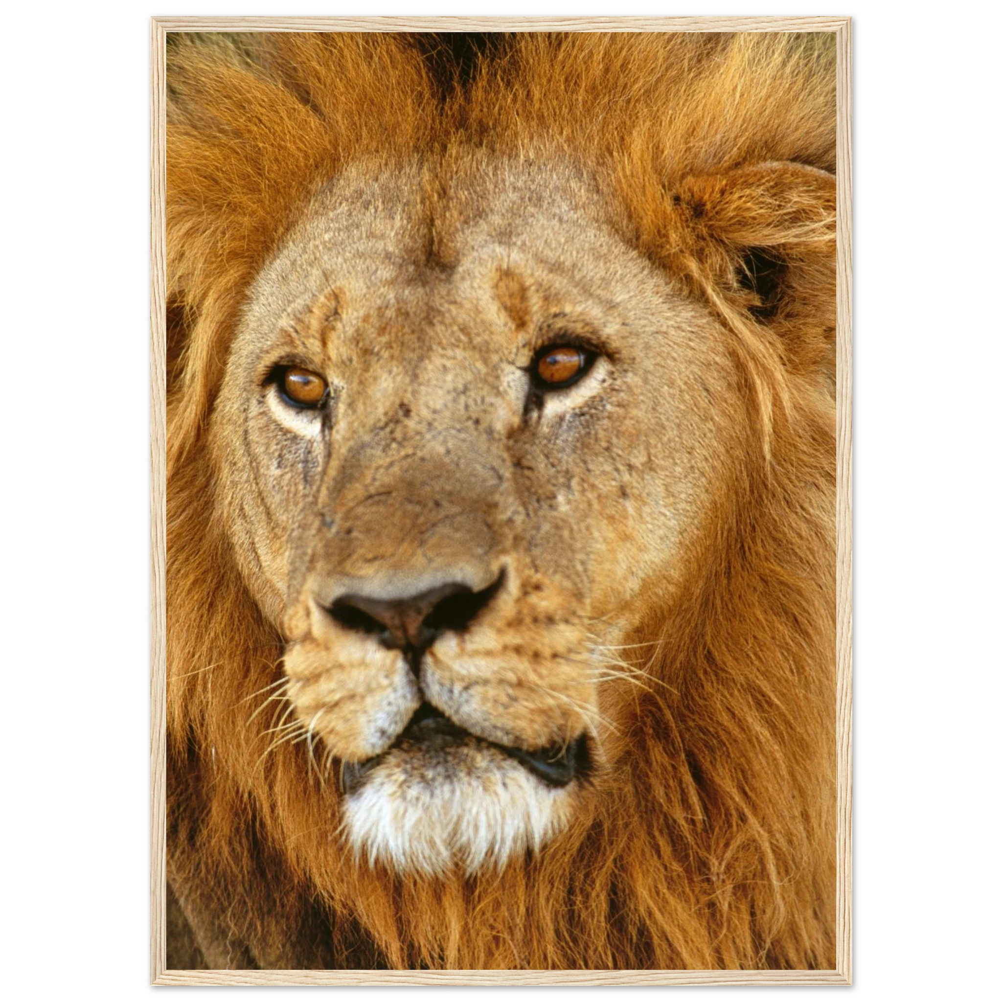 27f7cb6a-1e3d-4e52-8b9d-7571797aca8d