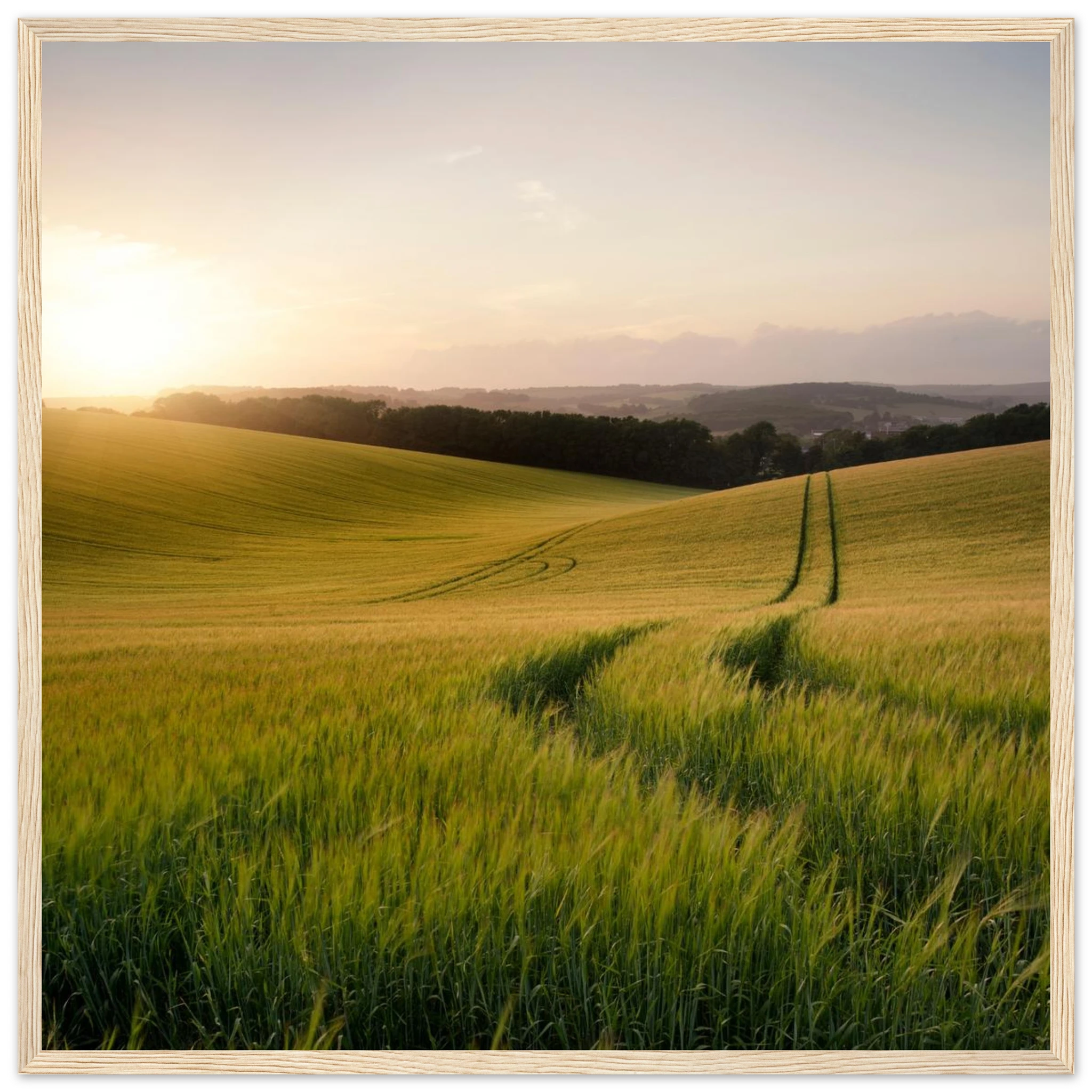 2810f828-ea63-44e0-b6f4-17eafd081df1