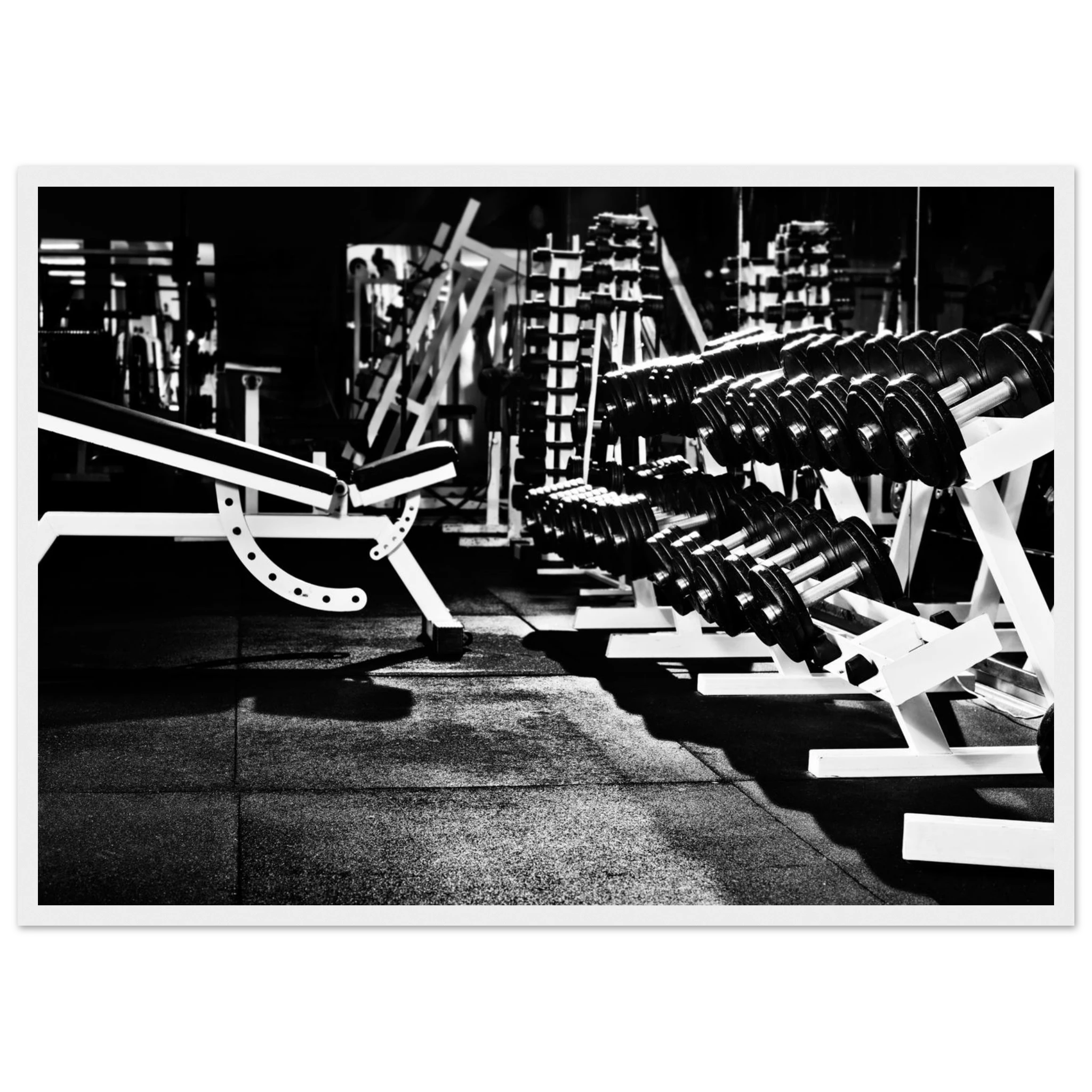 282e8a24-e32b-4738-becb-cc00b4049787