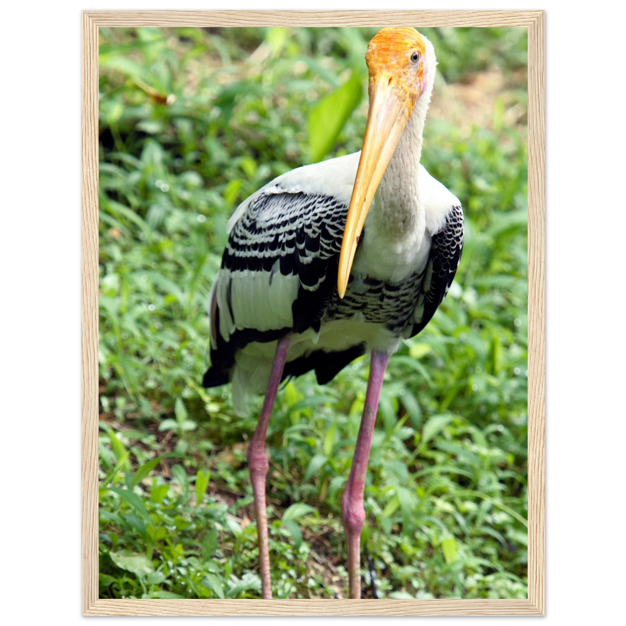 28327148-257c-4855-87c8-6a3bcafc4547