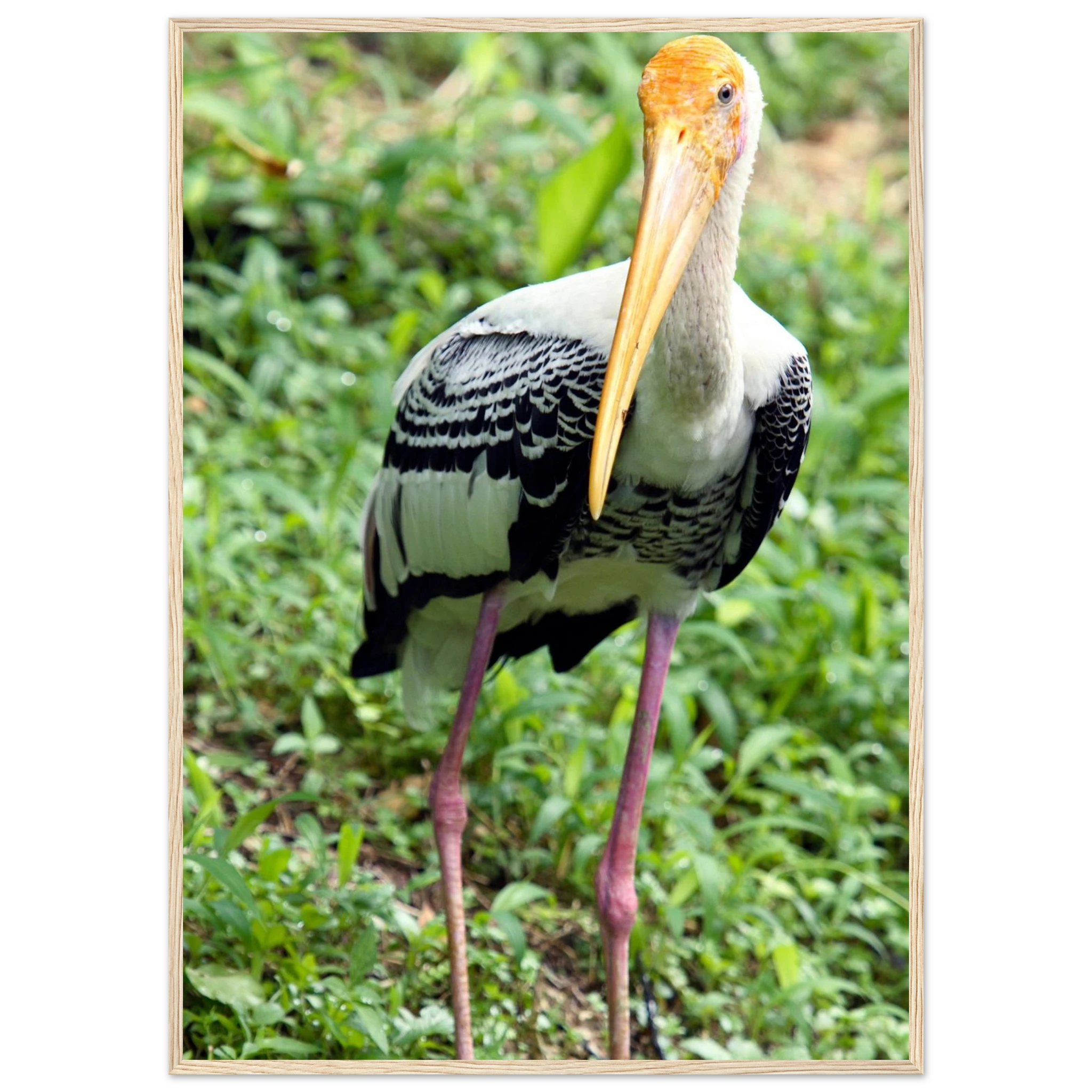 2840a2a3-3a9e-4fe9-851d-ec204efa6ca0