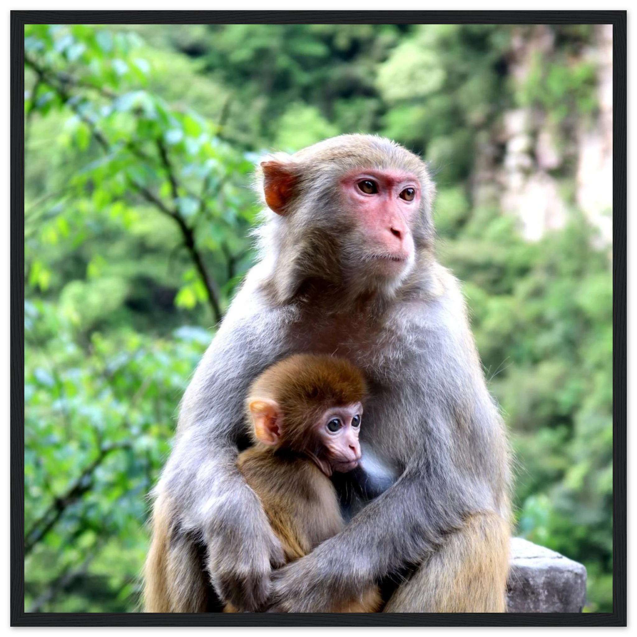 2862a833-dd77-4f22-bdec-9090557f2939