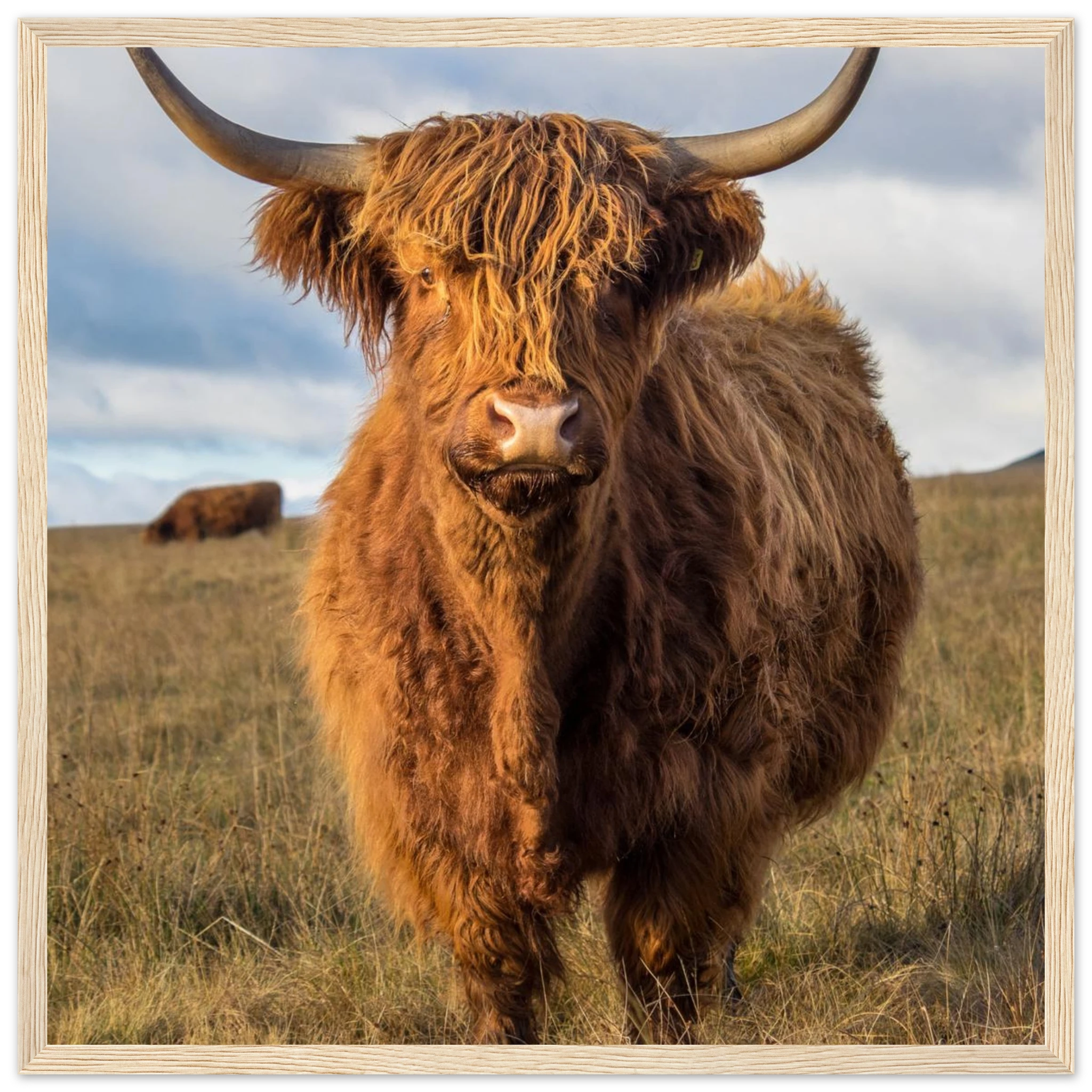 2863e440-c0b4-47c9-97ec-570cafb45137