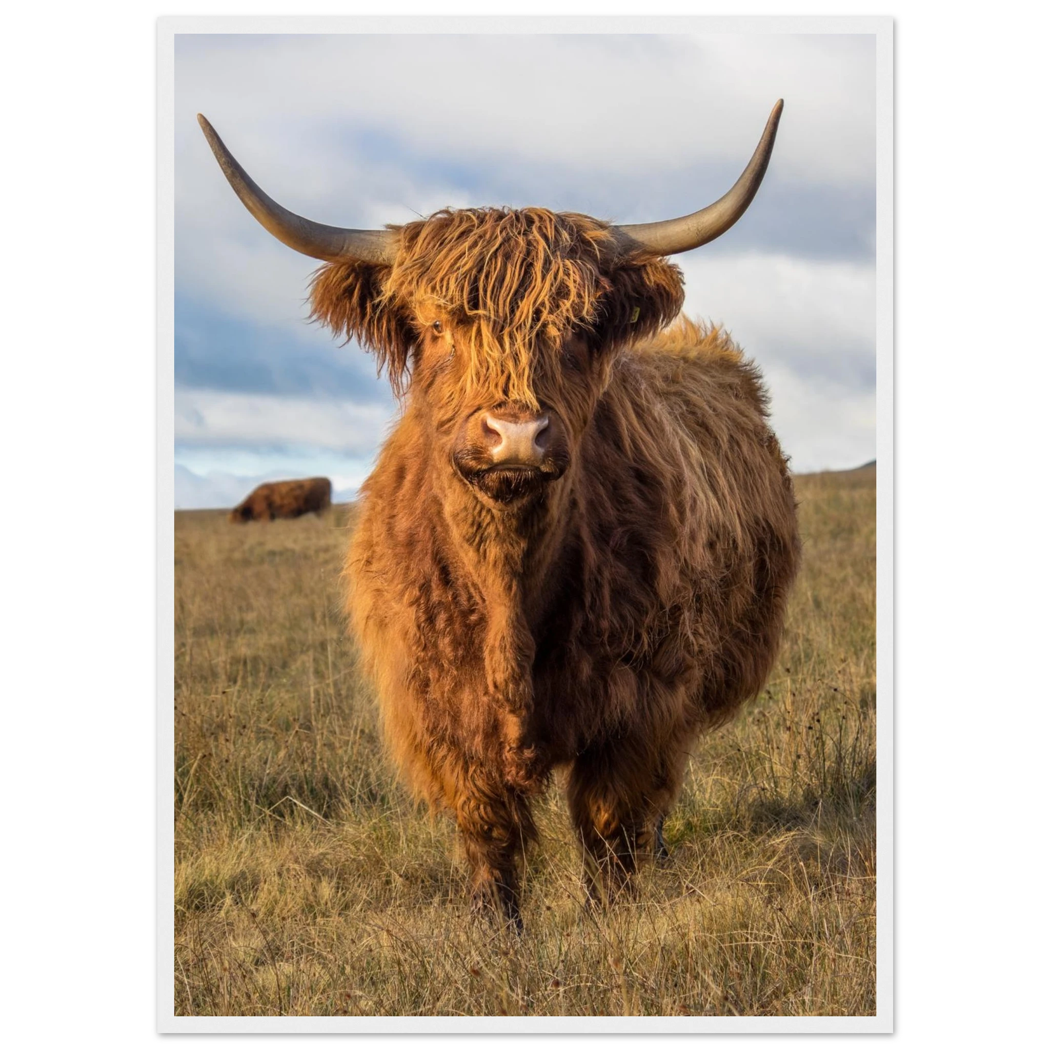 28698309-9d89-4ce8-bef9-839825428058