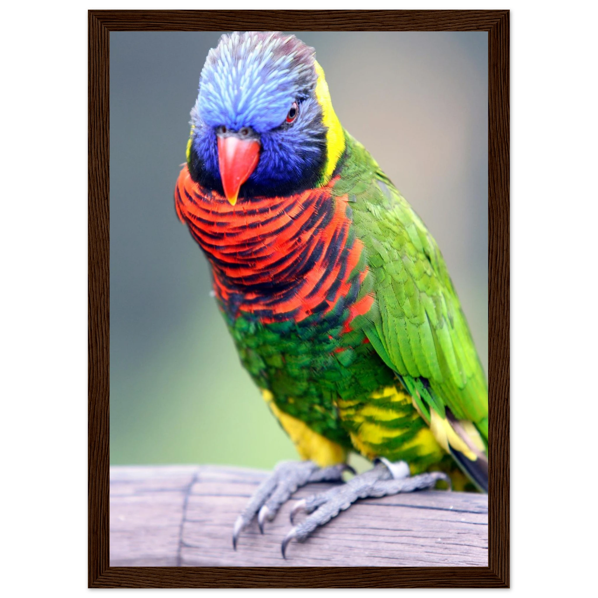 28a1ce5a-7d6e-4125-8b54-b8334291e877