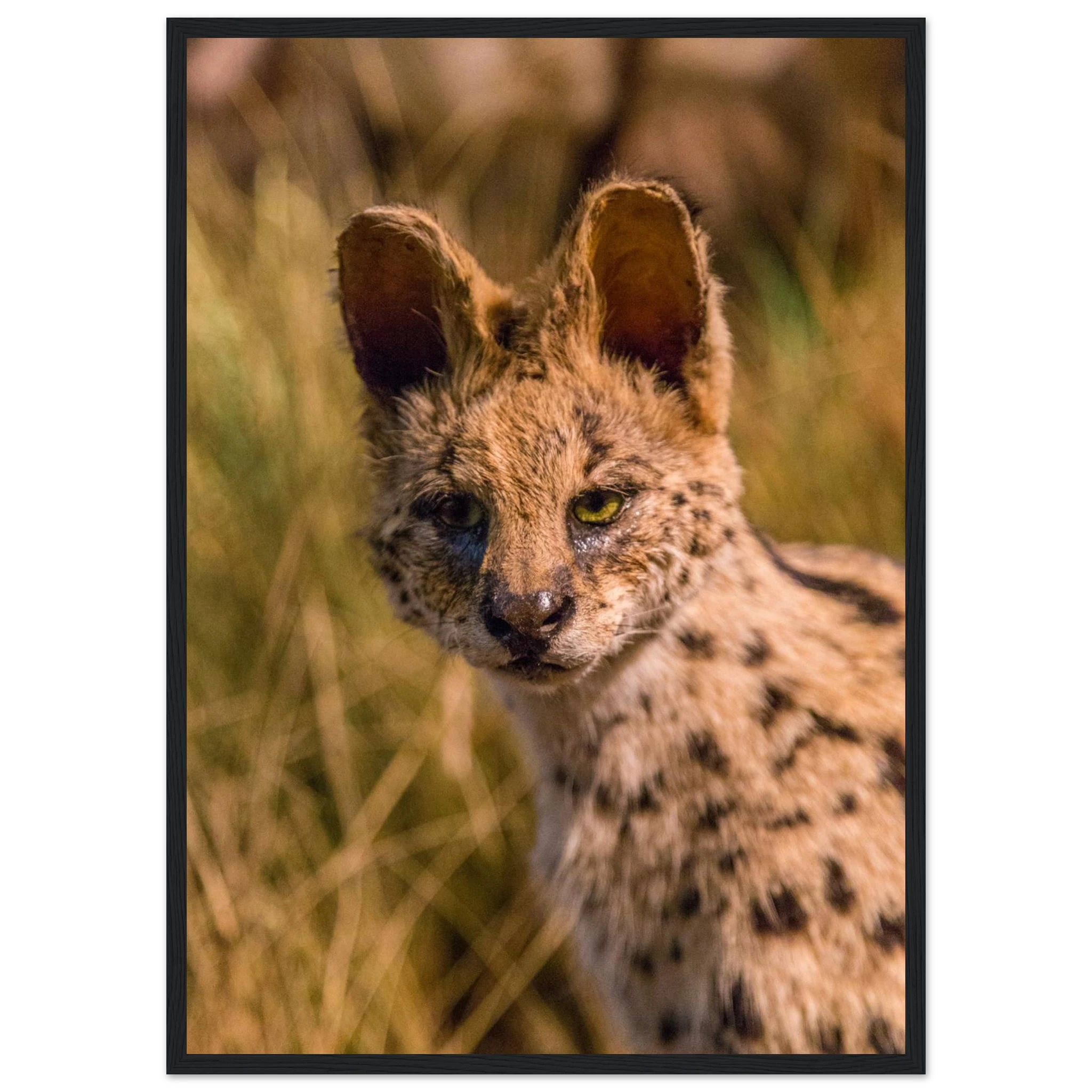 28c8ec22-02dc-4736-80a7-ed7432789782