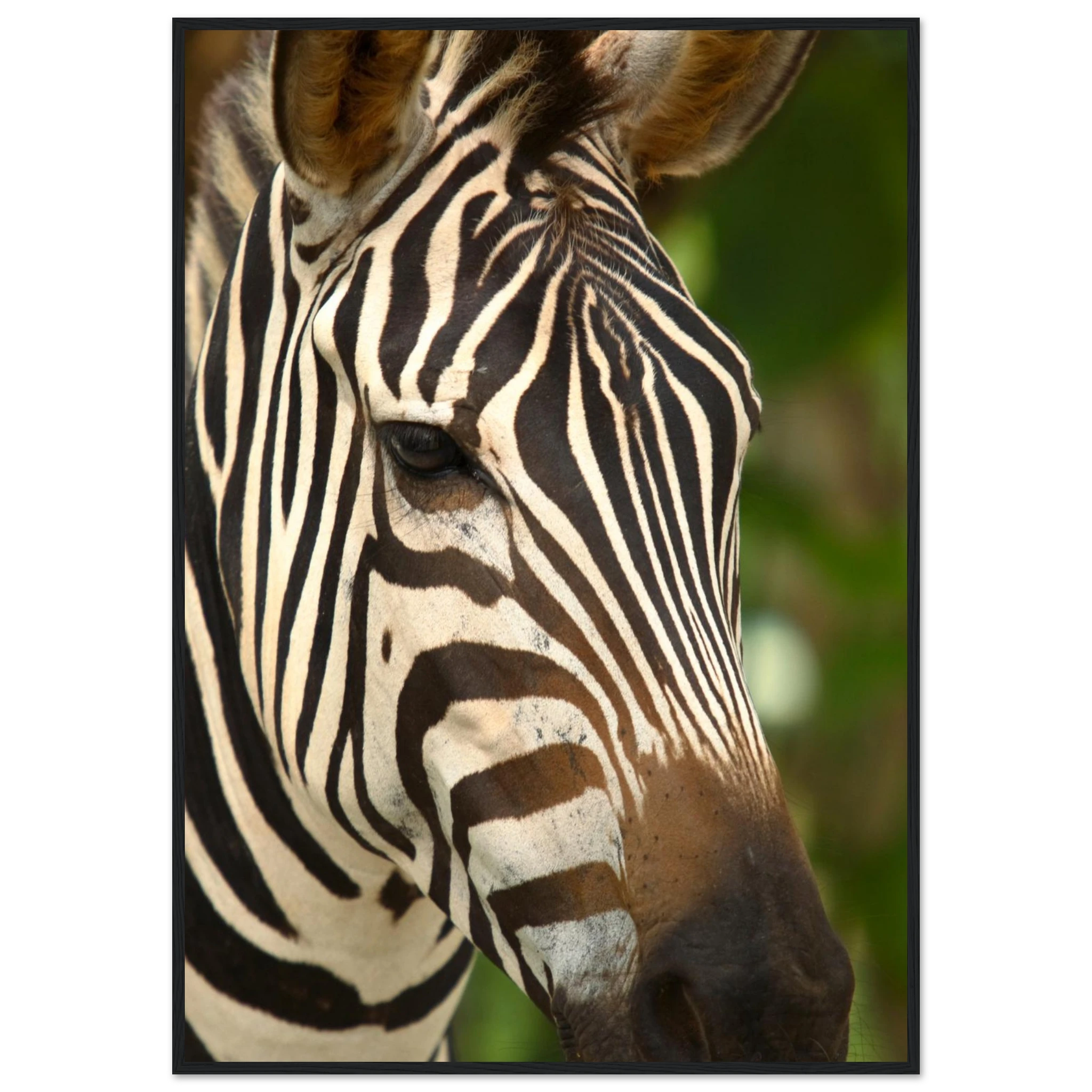 28df7830-289f-4d6a-a732-a000099e53f3