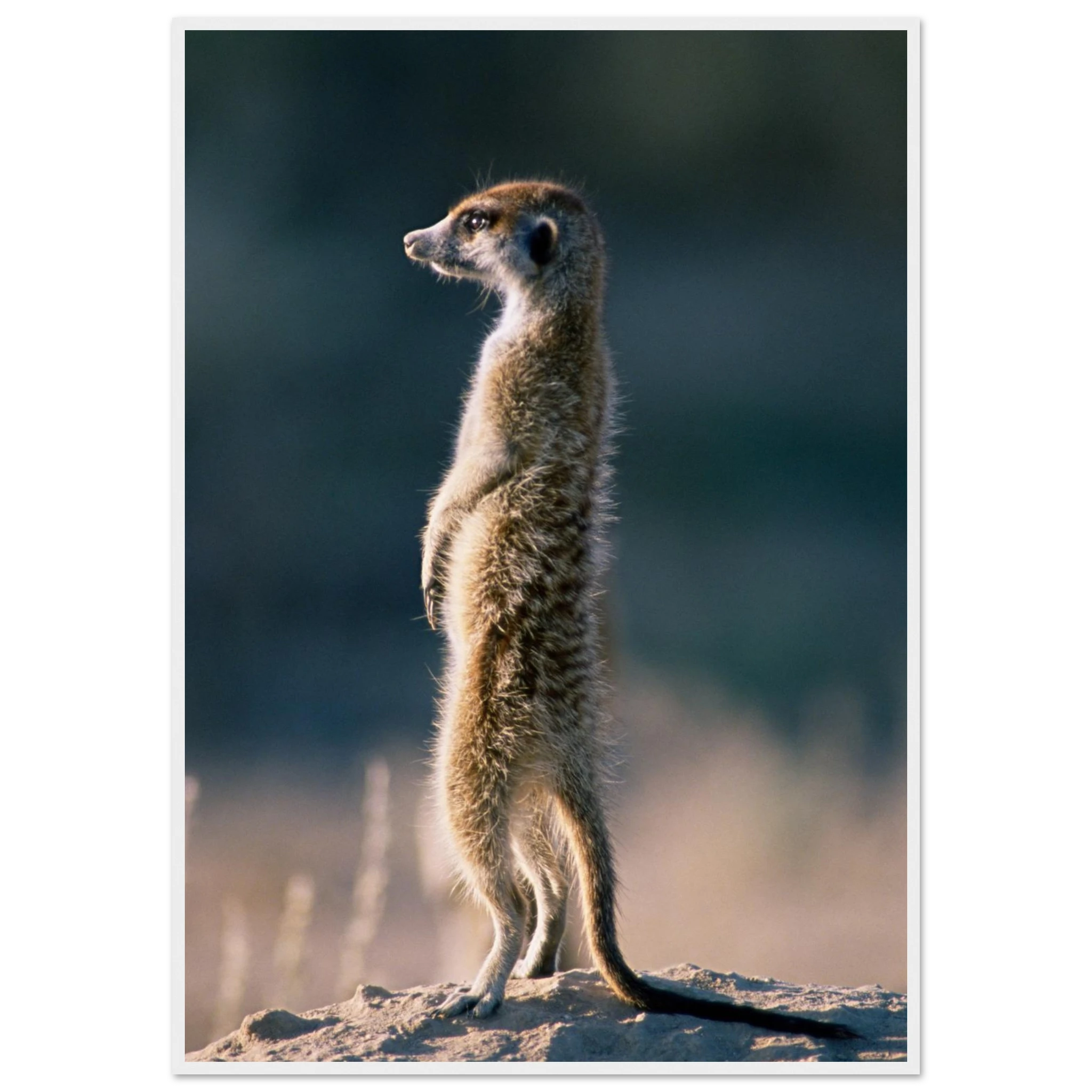 28efb573-c645-46cf-922f-dc0f88e6f26d