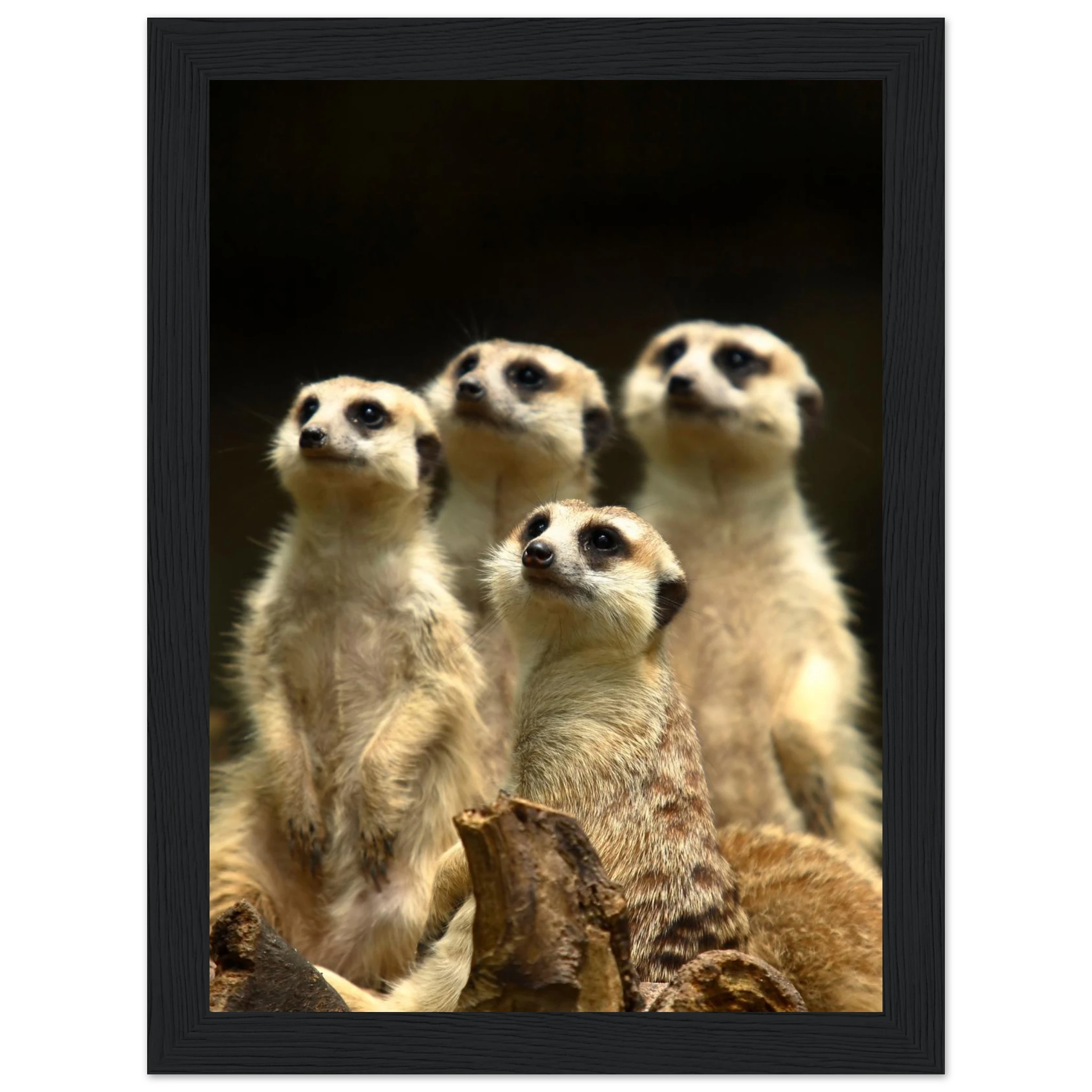 28f3b7a3-6671-41ba-b1b5-0eec6b6d088c