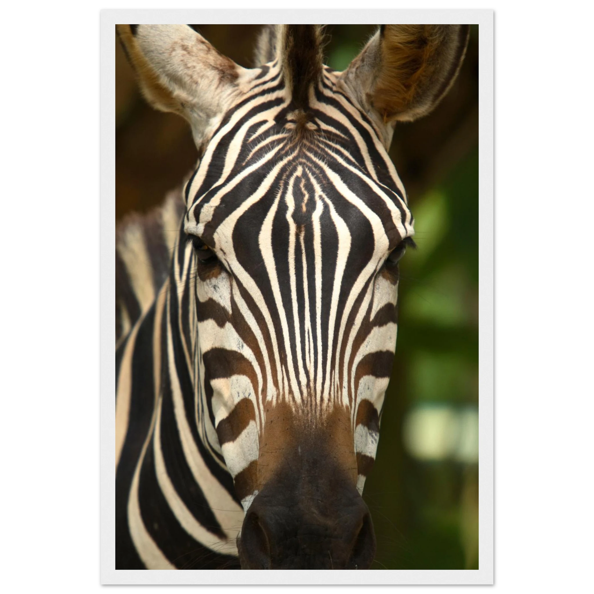 28fcf67a-a6f3-464a-80b3-bba606d6b3da