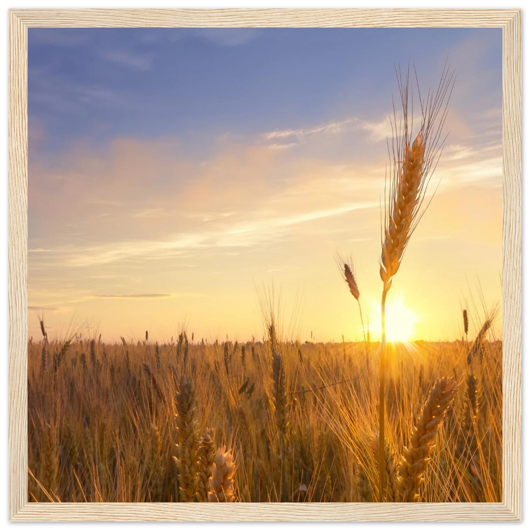 290eee75-e39a-4ce8-b9df-95581a6383ac