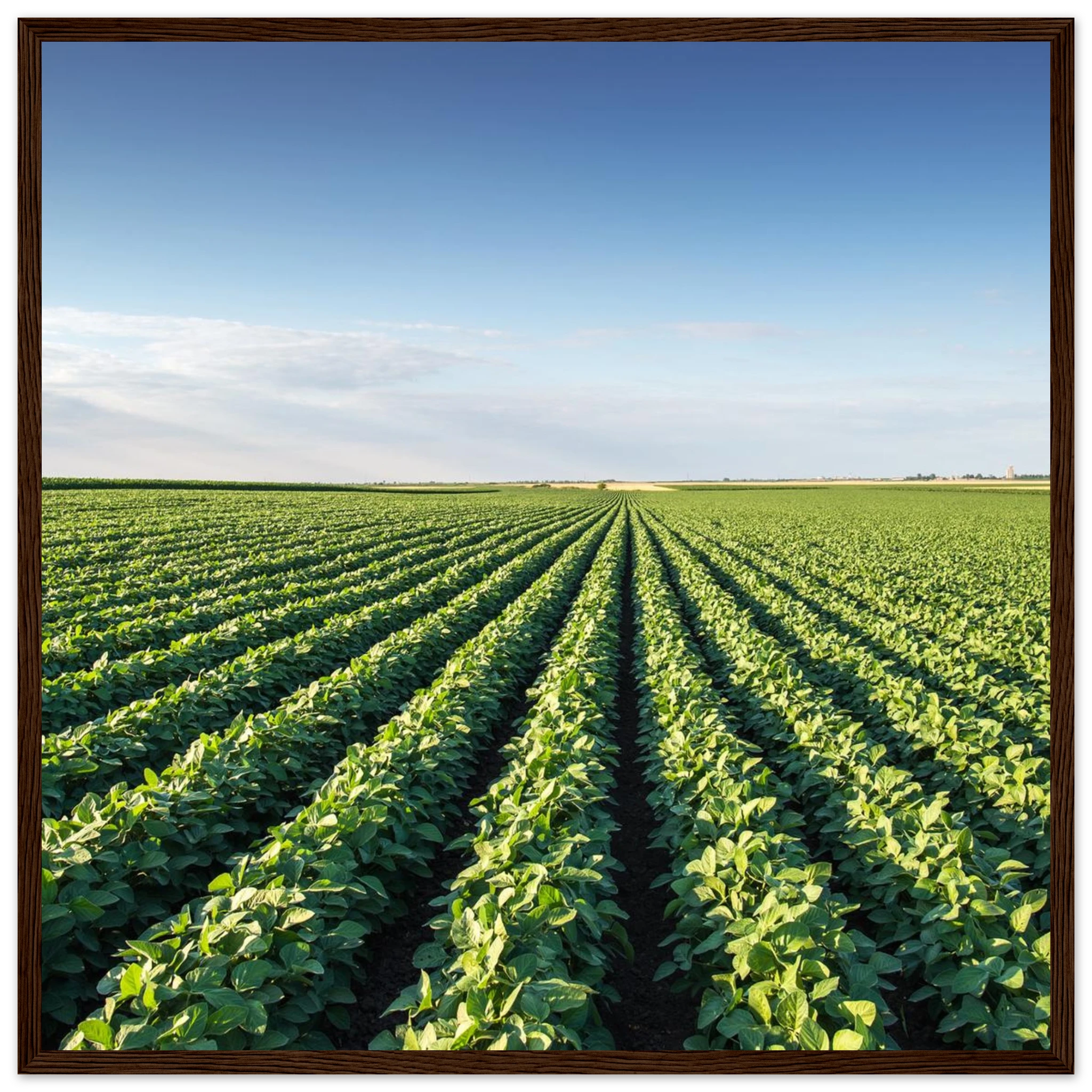 290fee74-555f-4ce7-b708-e2b5d5e3ac57