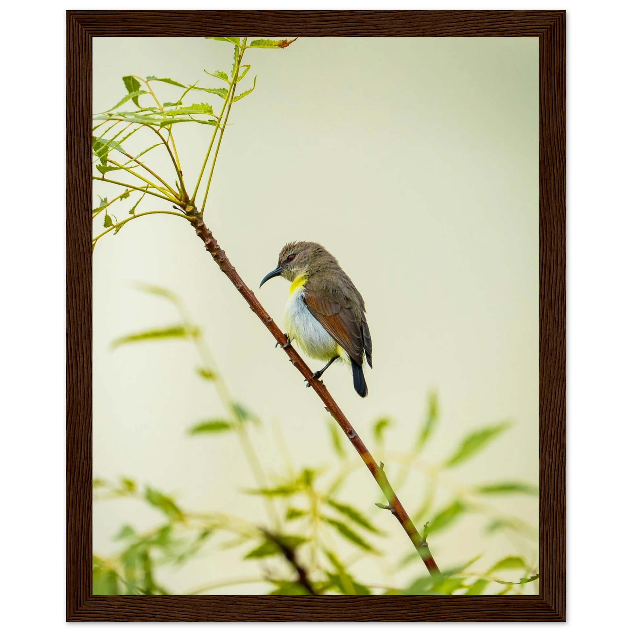 291a972e-8eaa-4072-993e-ad25048770fe