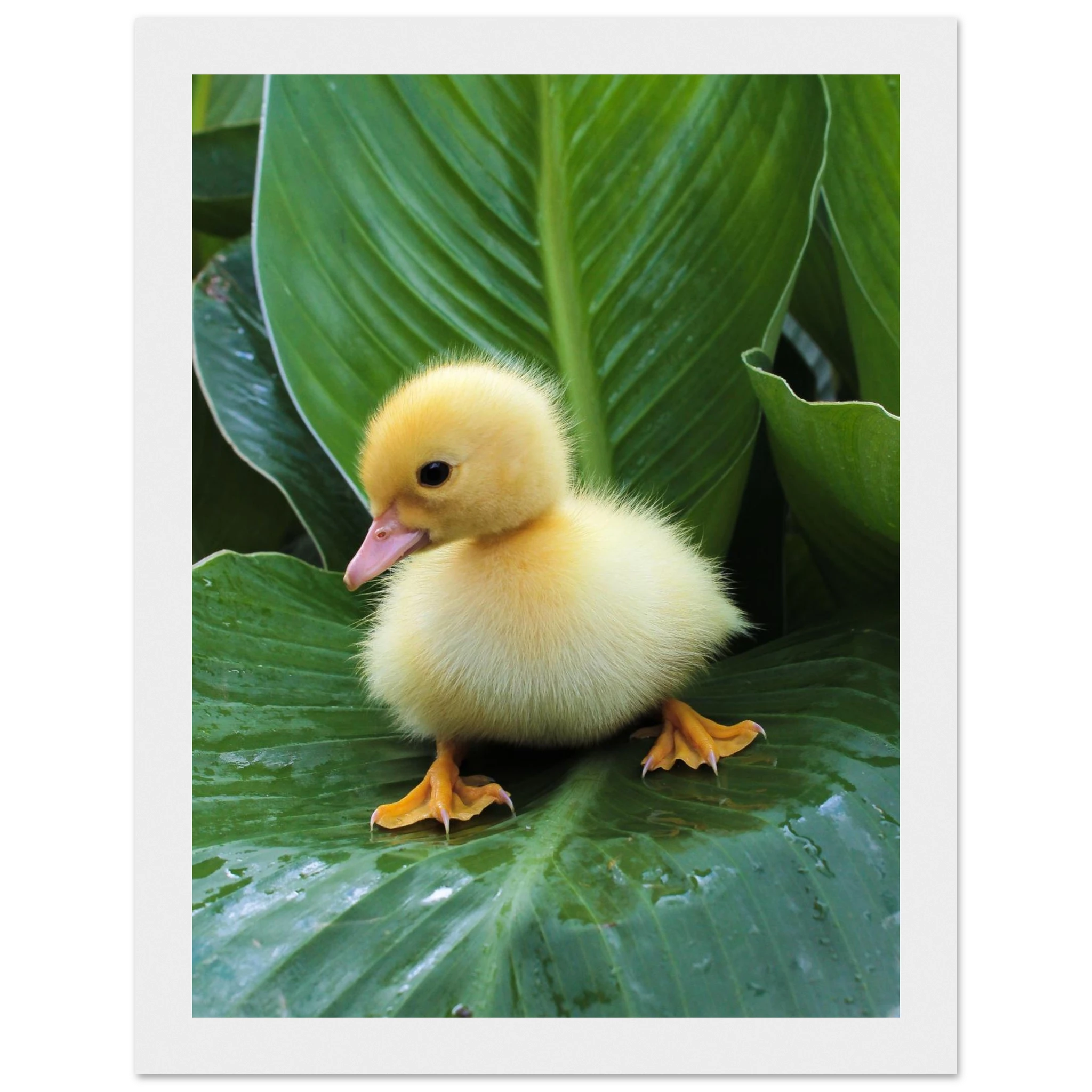 292bcf60-3c33-4ac3-8c1f-256da7cae7e1