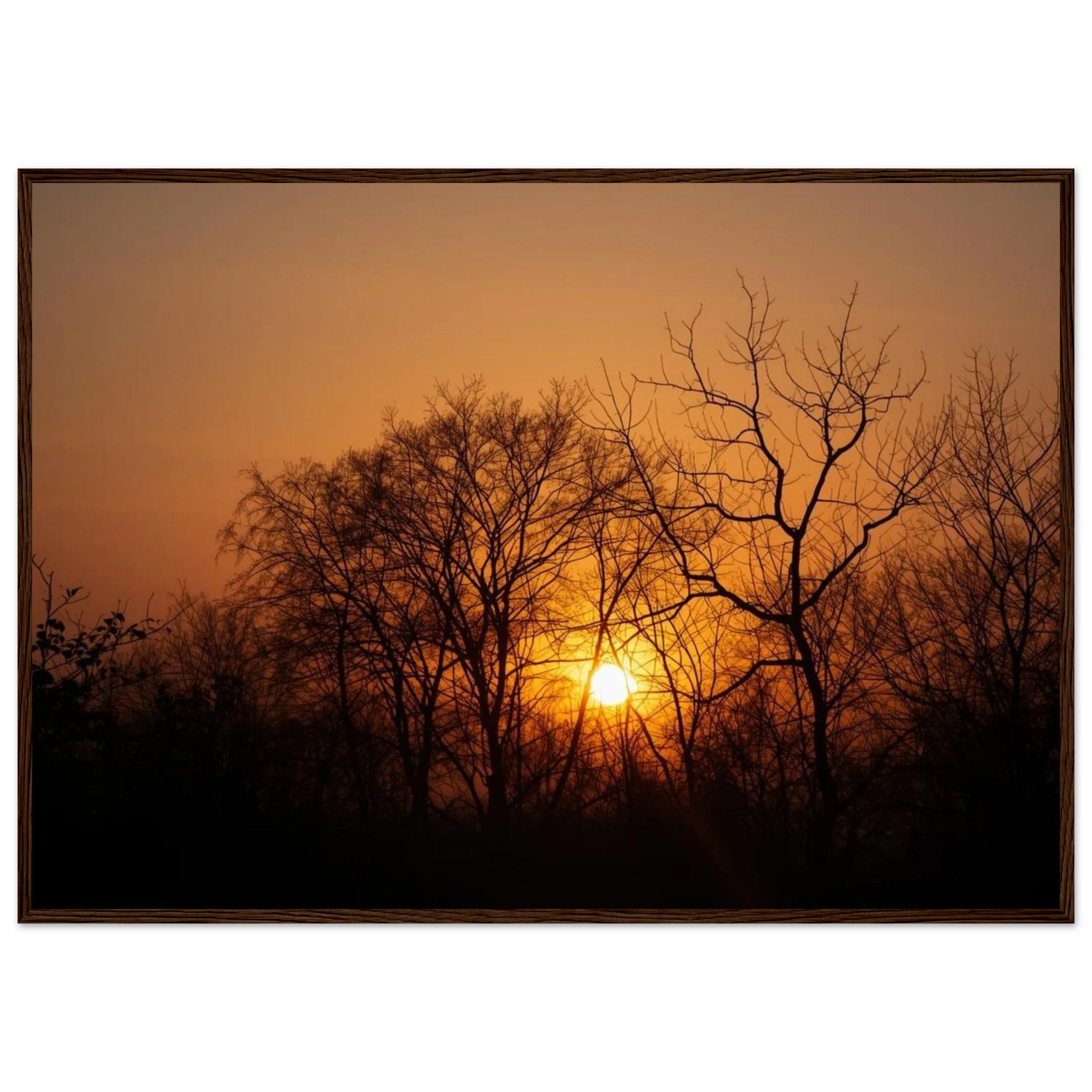 2933bb5d-e34b-4b8d-aaa7-694e55e6d45f