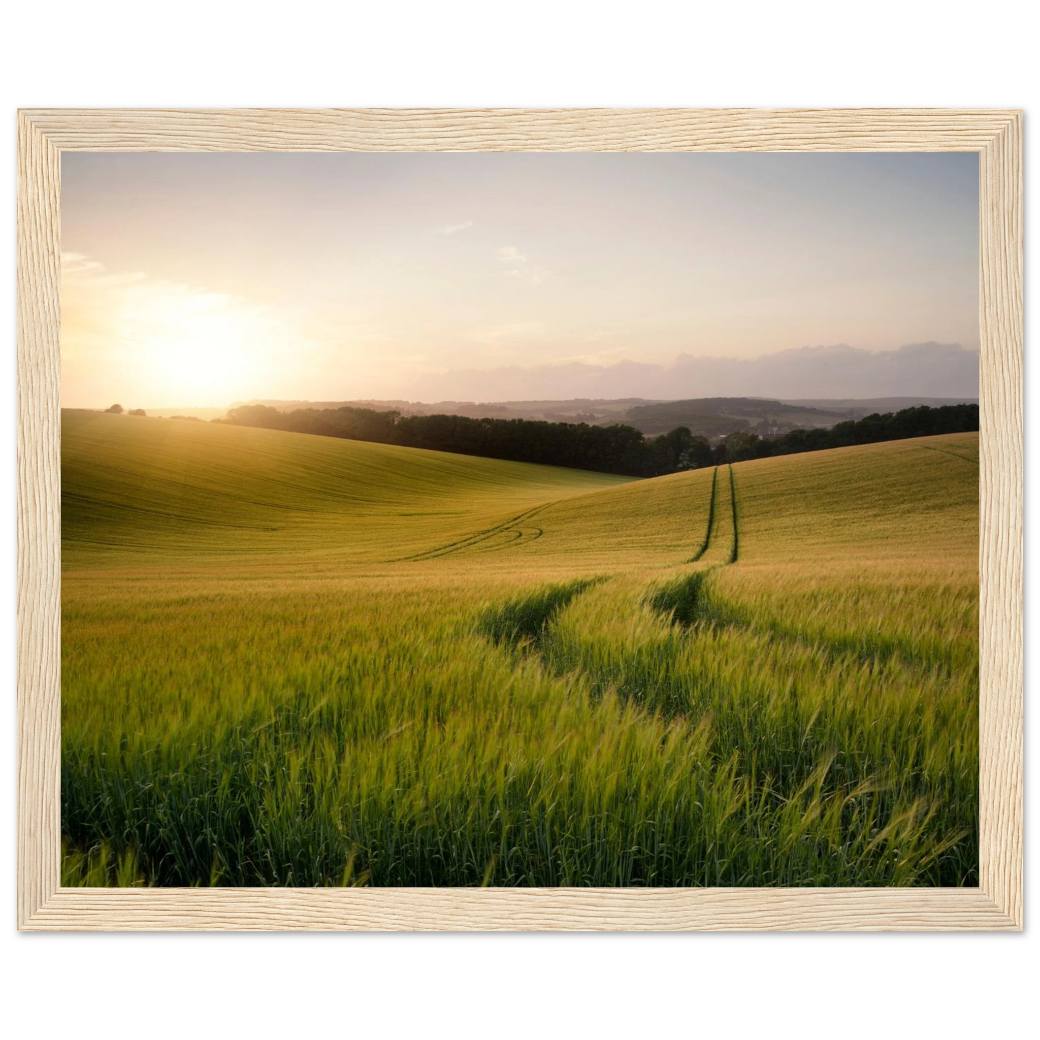 29375af9-3451-444a-8c1e-a8d0fccf0001