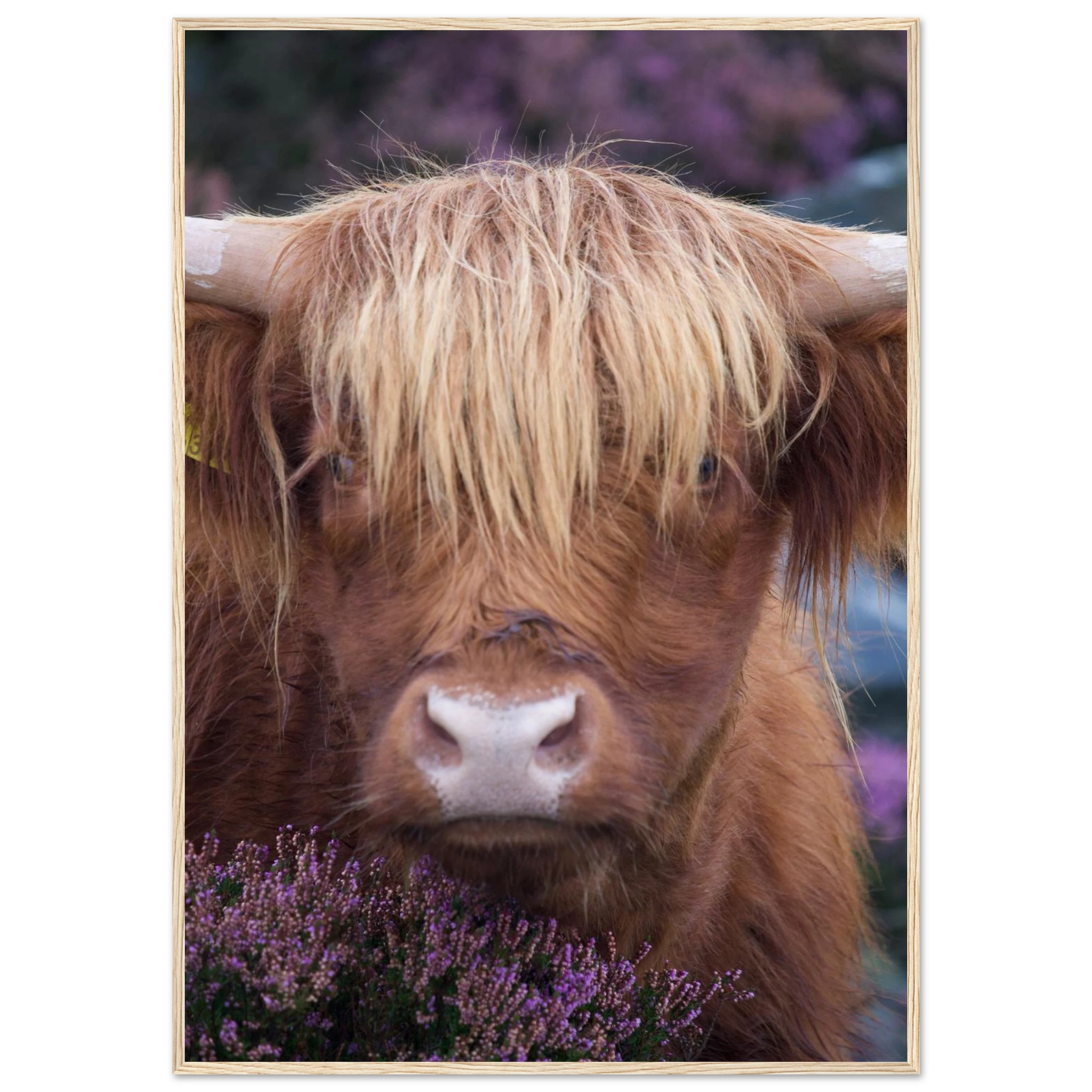 2950b98c-ad2b-41de-bcb6-61c0a85a3985