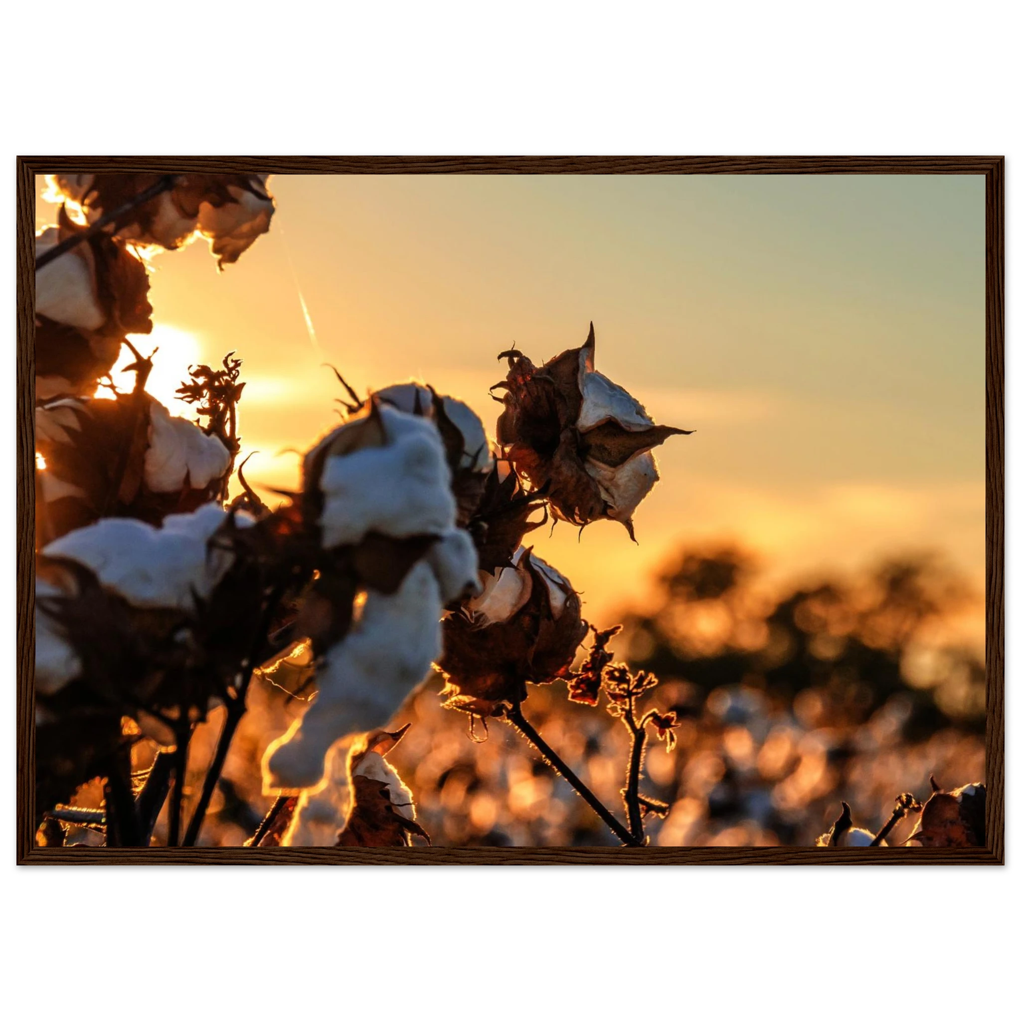 2959cc6c-26c4-4ad9-a2cc-b3bf83413aed