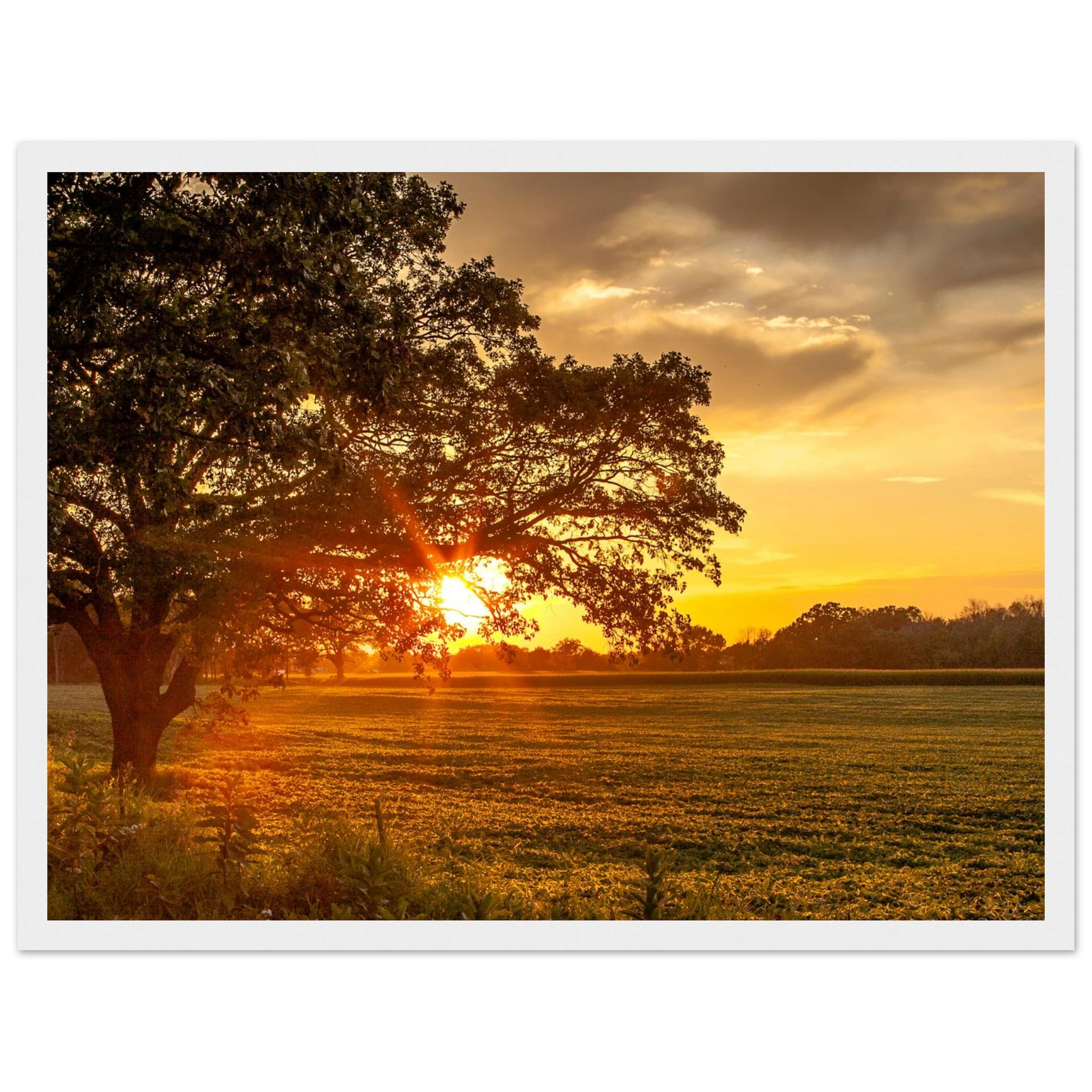 29891838-c0b5-45a9-83bd-61813d5bdbb2