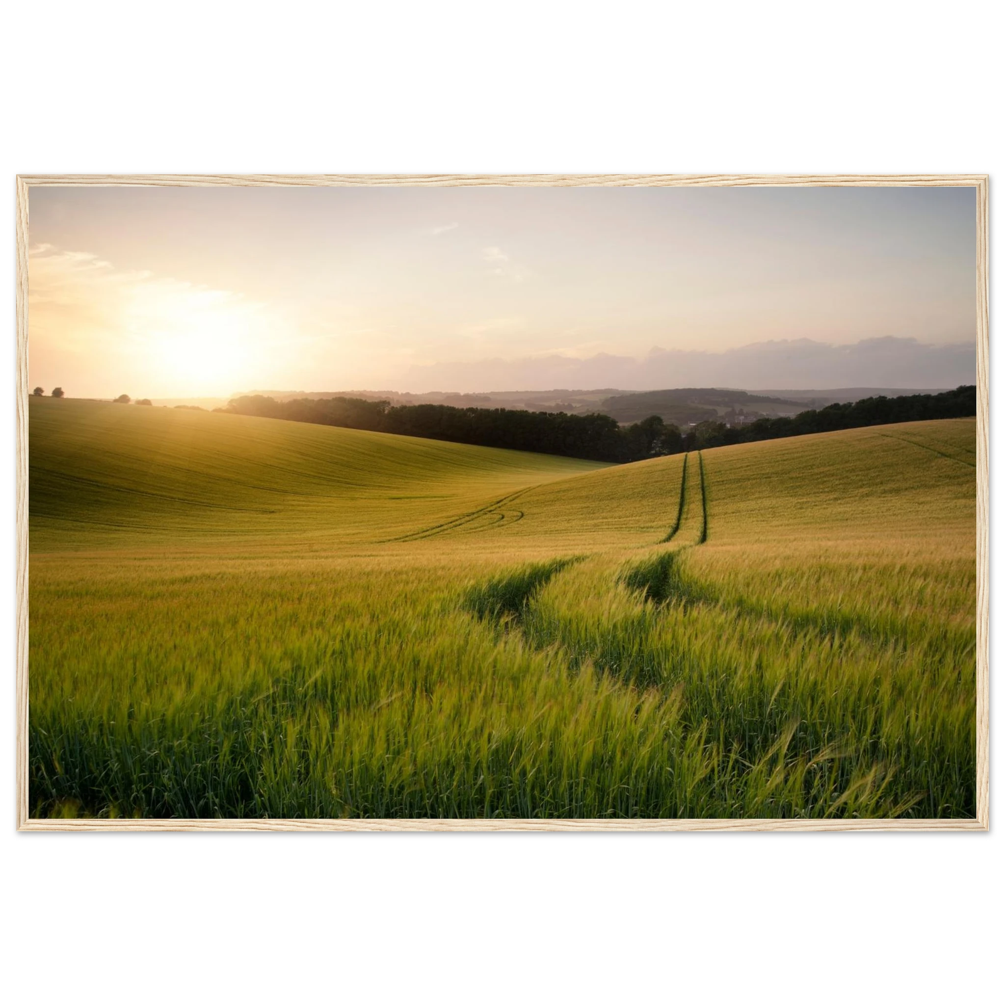 2989c82c-b340-4fa4-a8d9-d9a8dc344efe