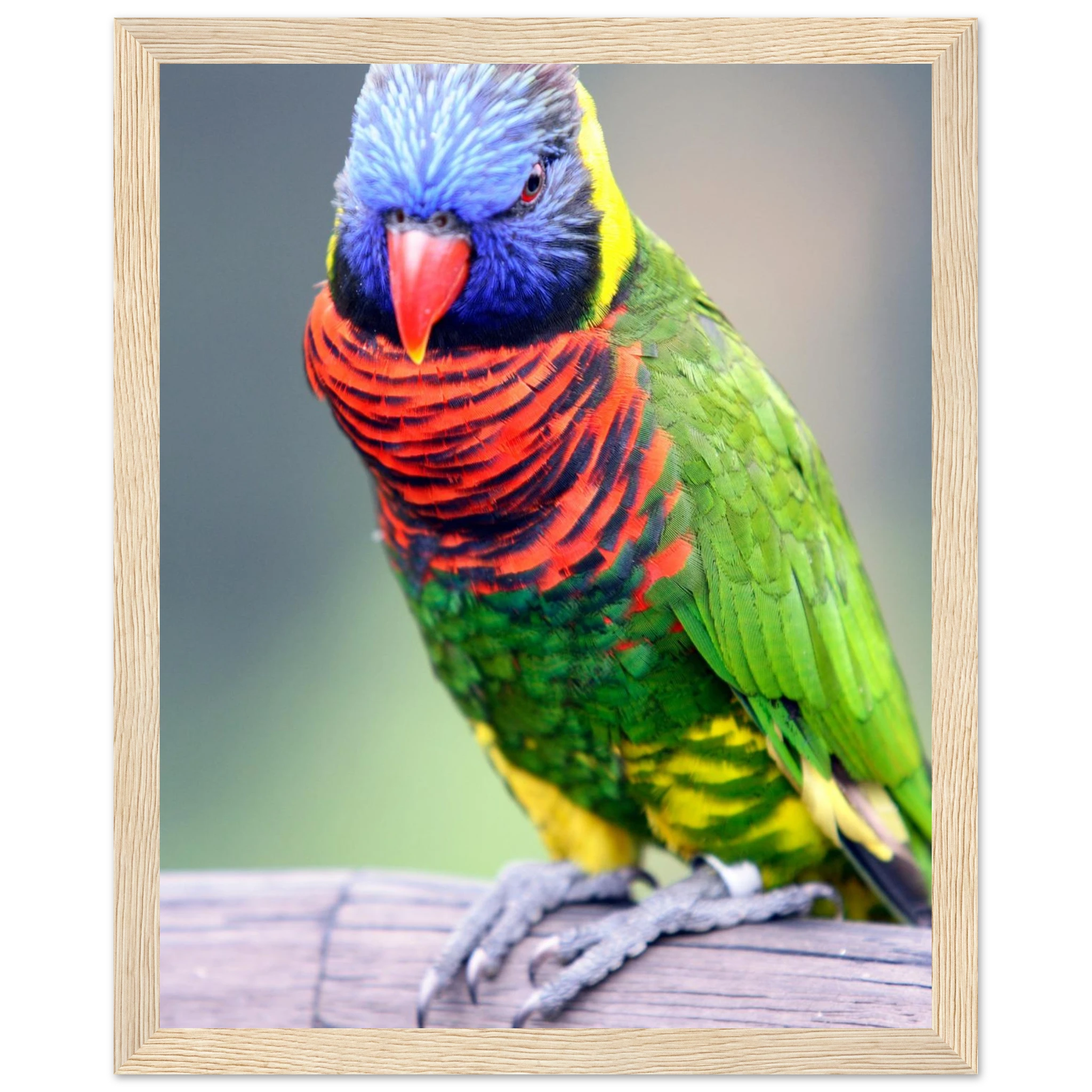 298a9c79-4548-480e-9f8a-ee6662c70d17