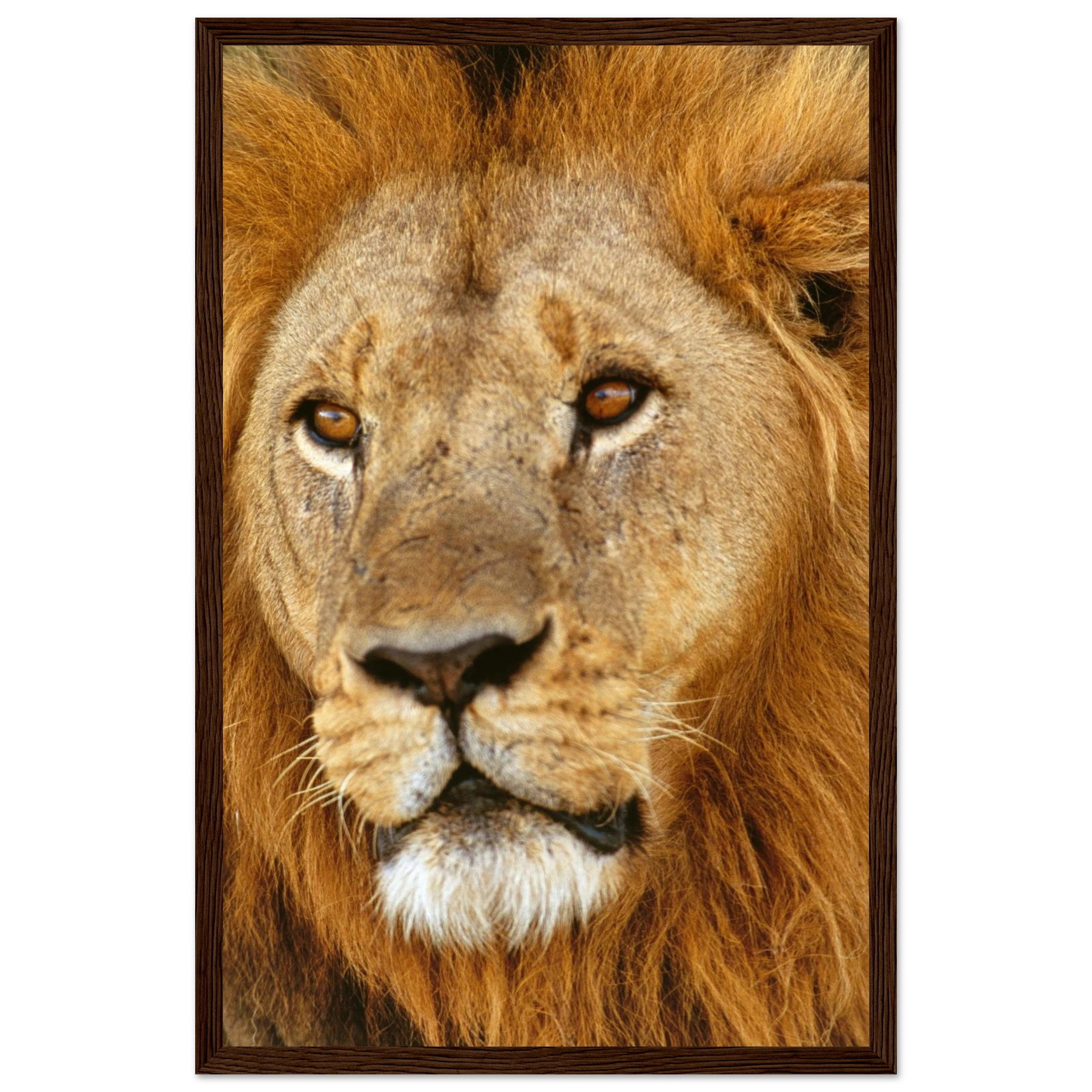 298c0d8e-3410-40cc-938b-cb17d16e2ca4