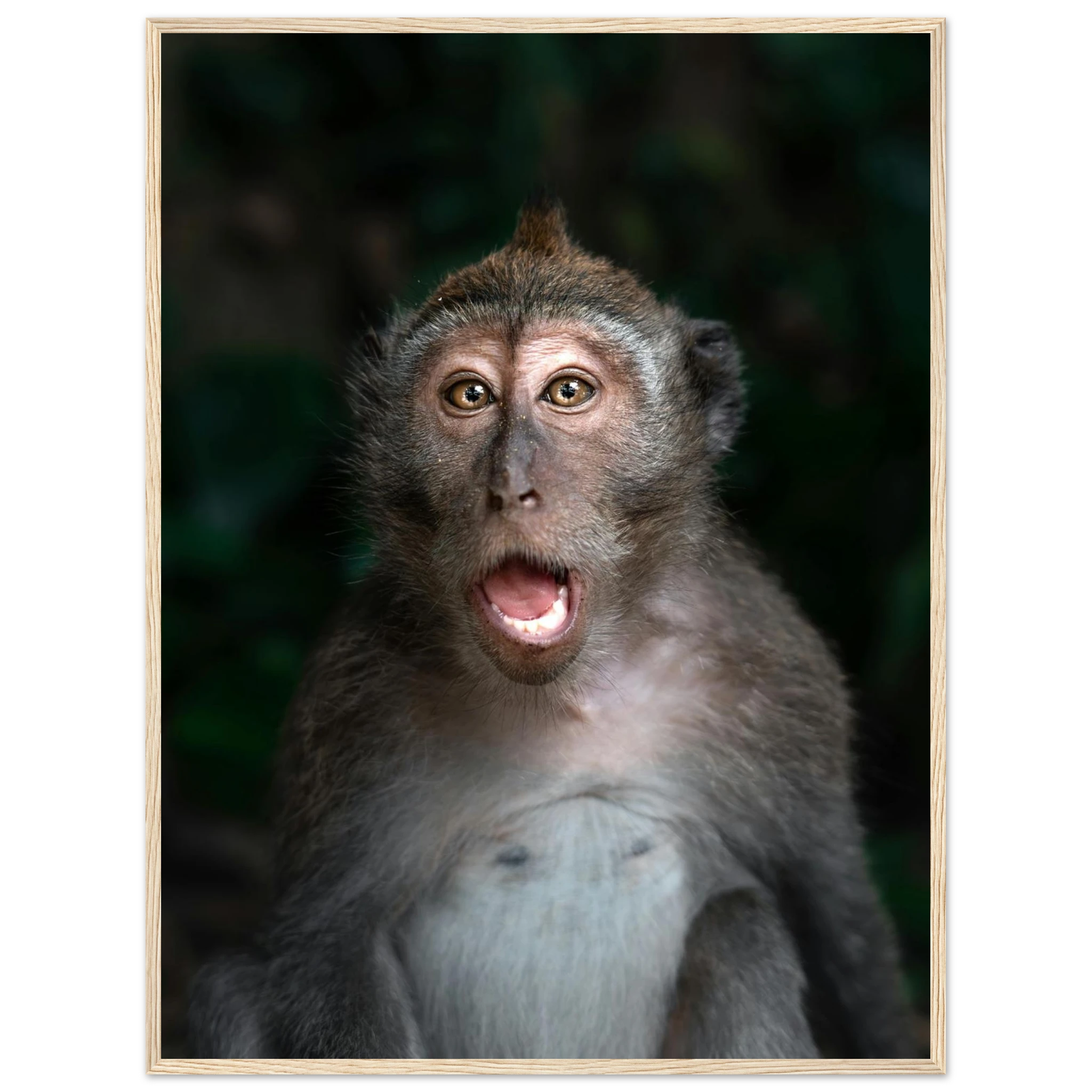 29a738cc-0e26-4e23-a2e1-179144899f5a