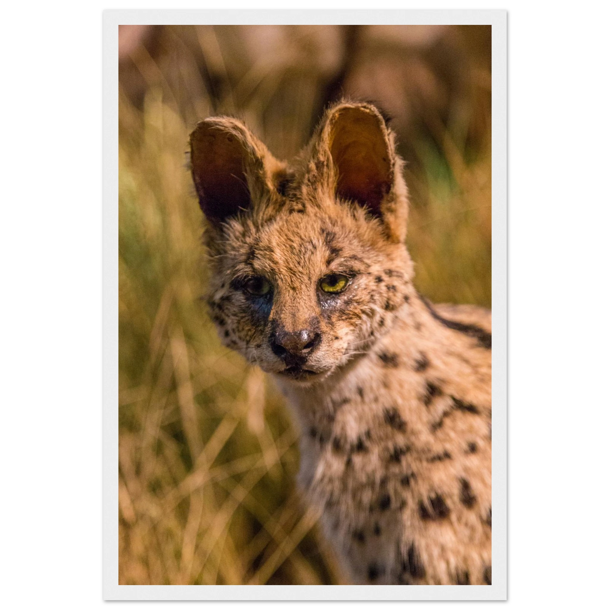 29aa12ac-7faf-4dc6-a7c4-1b21665c0625