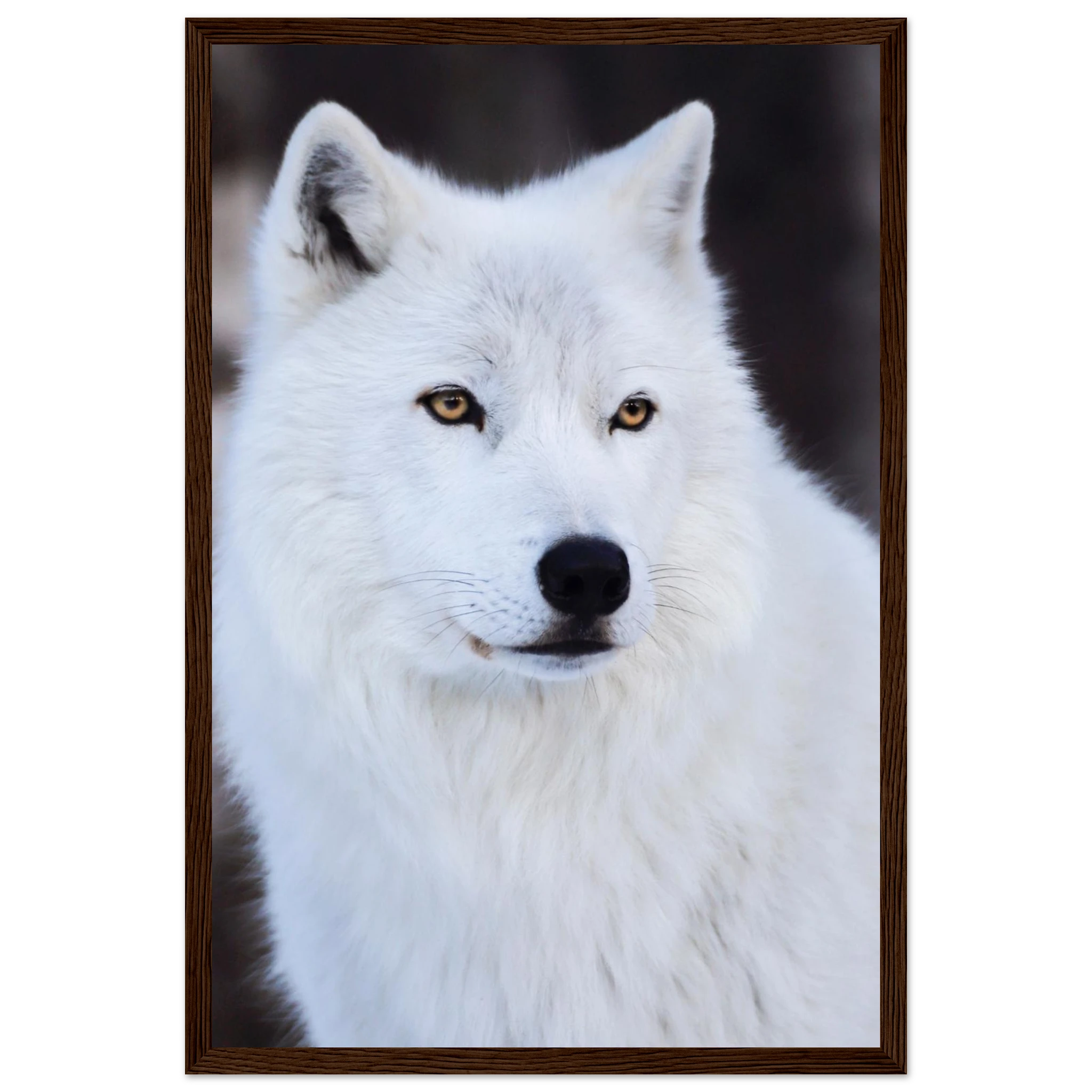 29acd8b6-eac2-42c8-91d7-c5fadad0d2ef