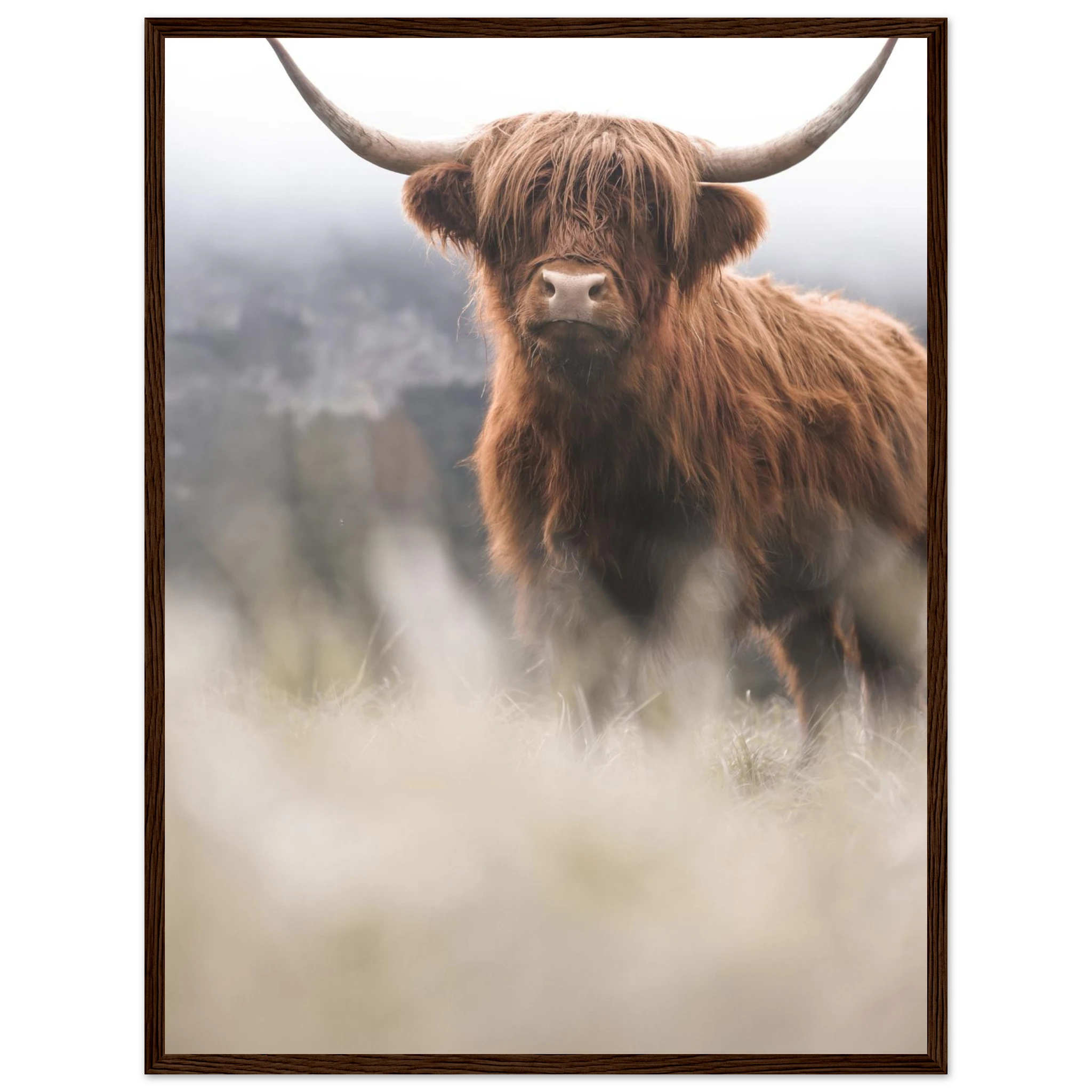 29ce12c3-d748-473e-bfb1-3a44ad02ff43