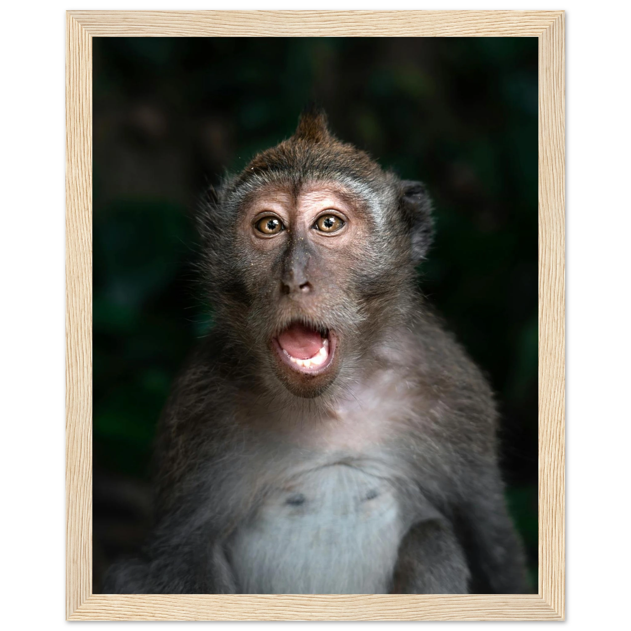 29ec7ea2-3766-4892-a1fb-35d2ee9aa9e9