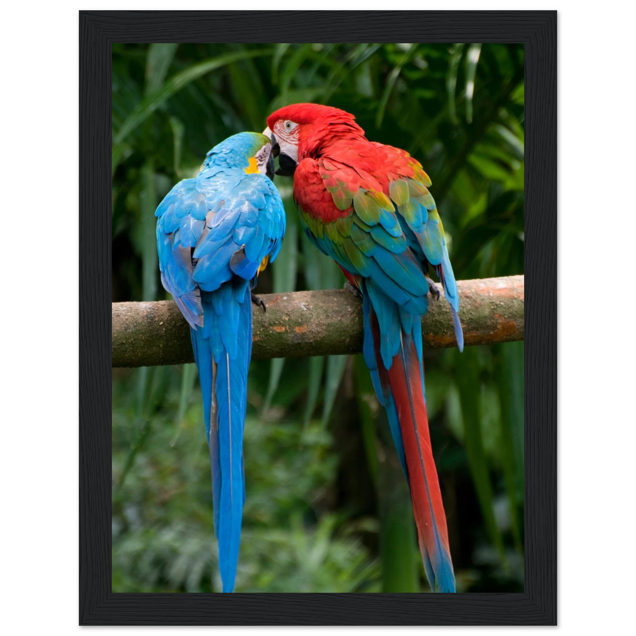 29ee568a-b871-45ca-918d-f2ecc033f15f