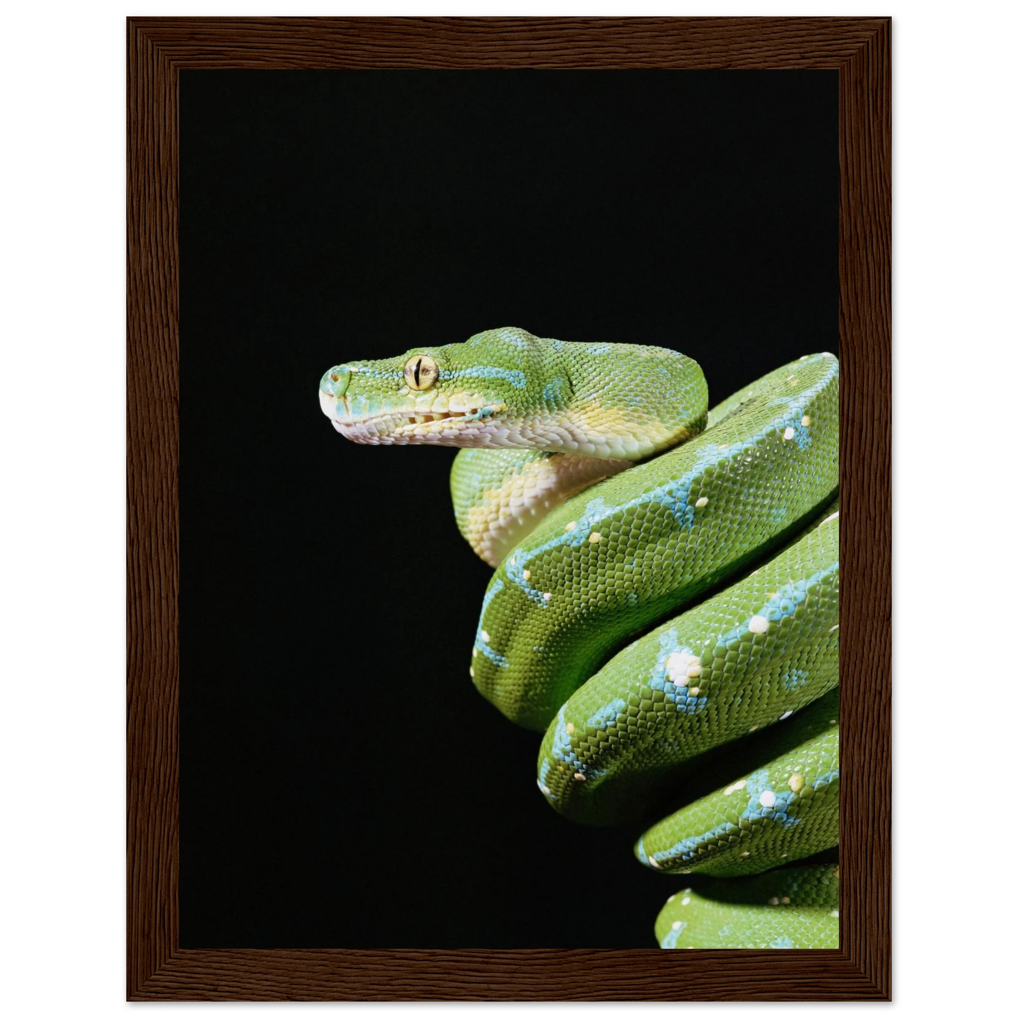 29f273f5-b7fb-4b60-8486-221e53ae14c6