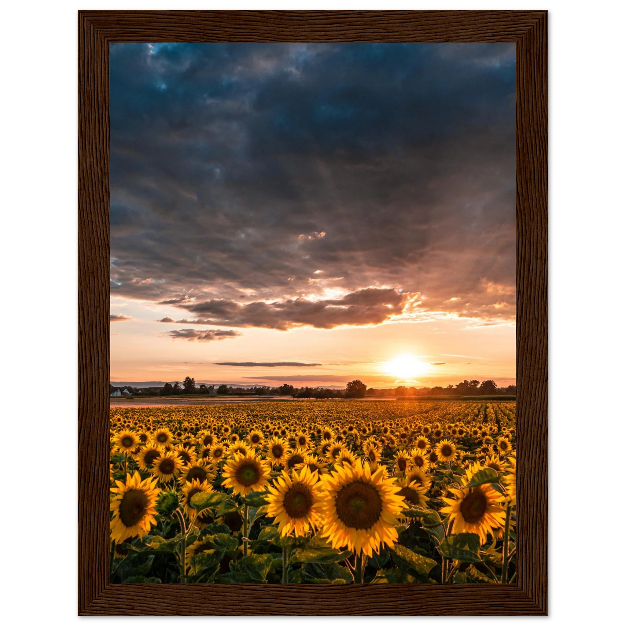 2a333802-272d-4b12-a777-dc3453947f2a