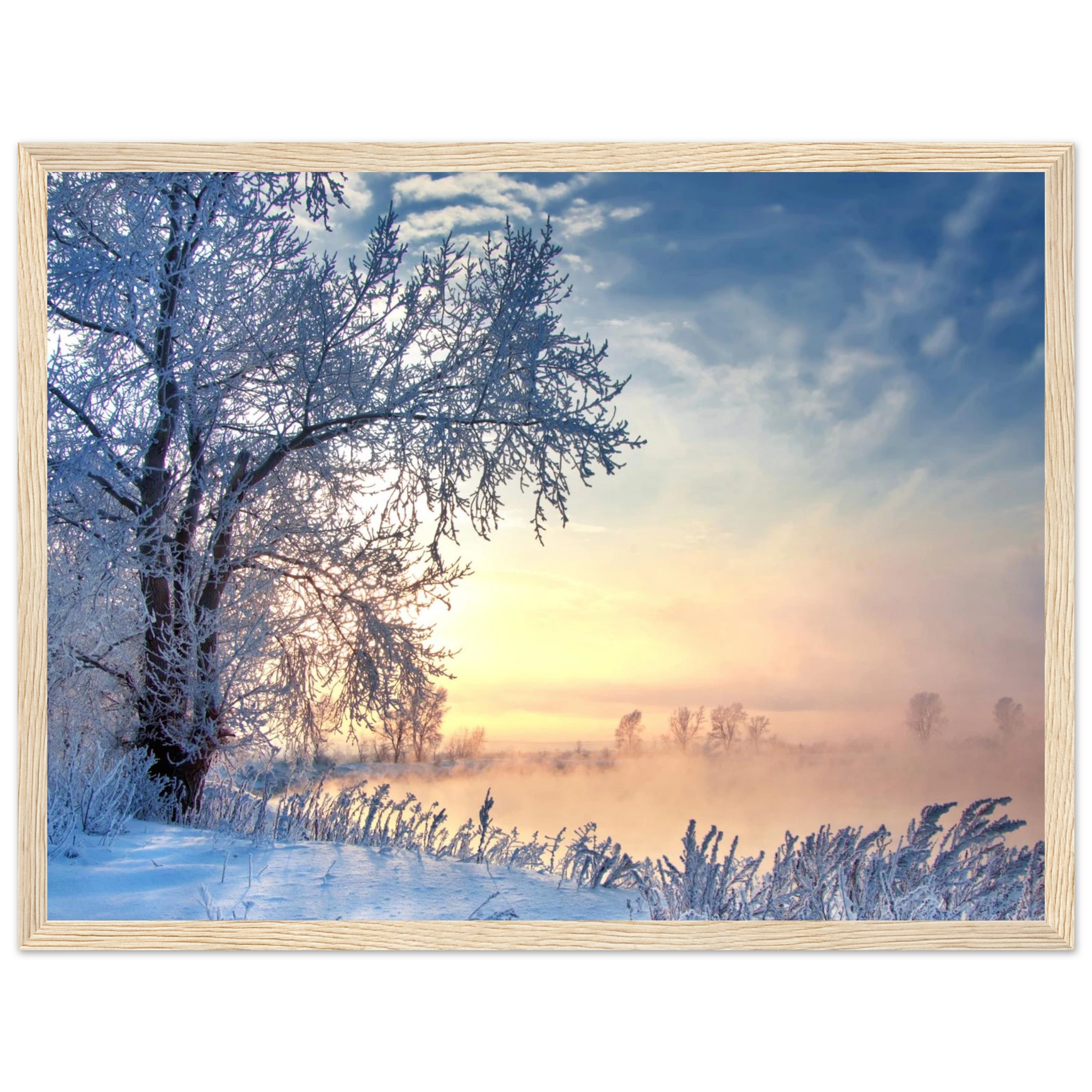 2a5c5174-f940-4f60-b09e-bb12ba5ceda7