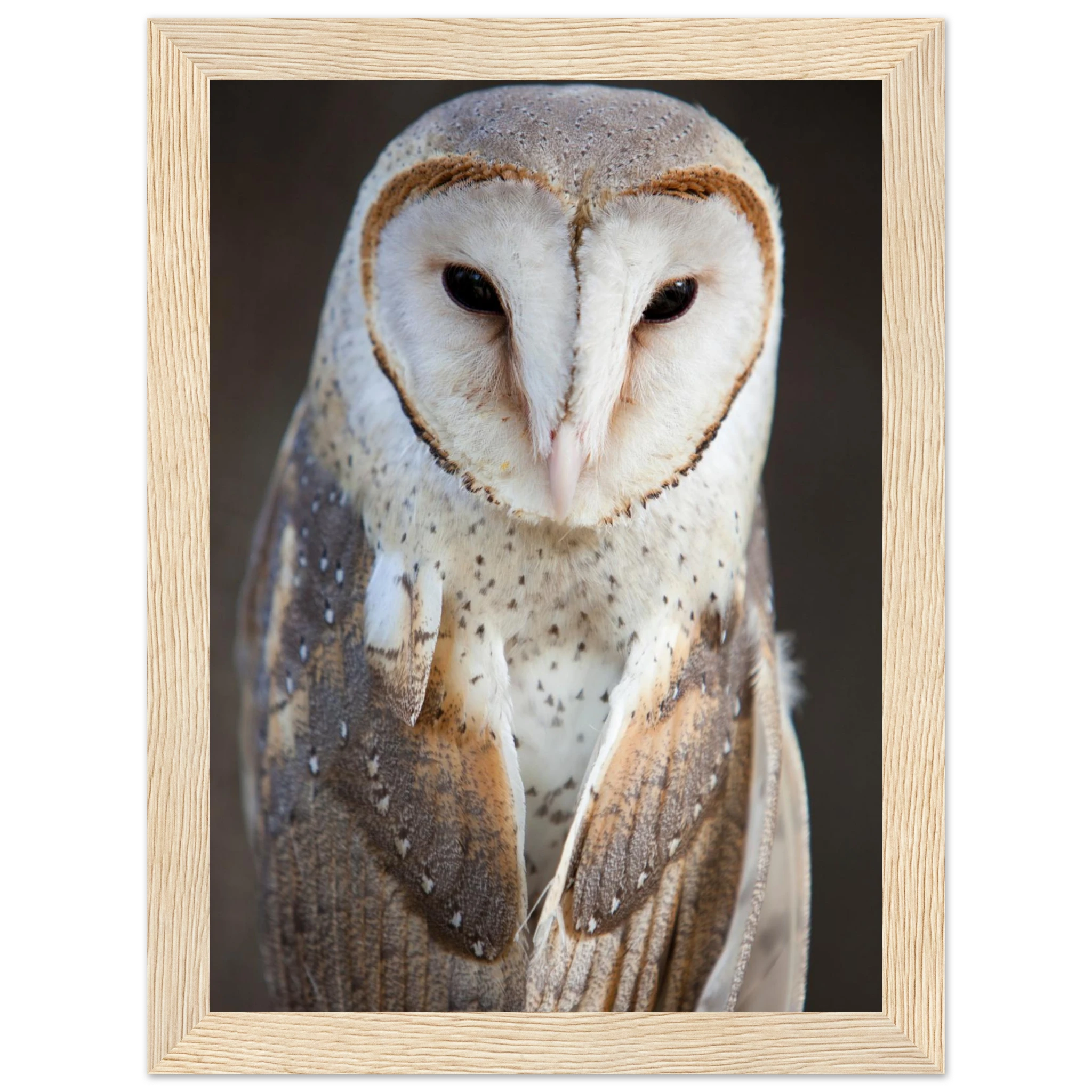 2a621a12-a667-407f-a04e-e2e006b960ef