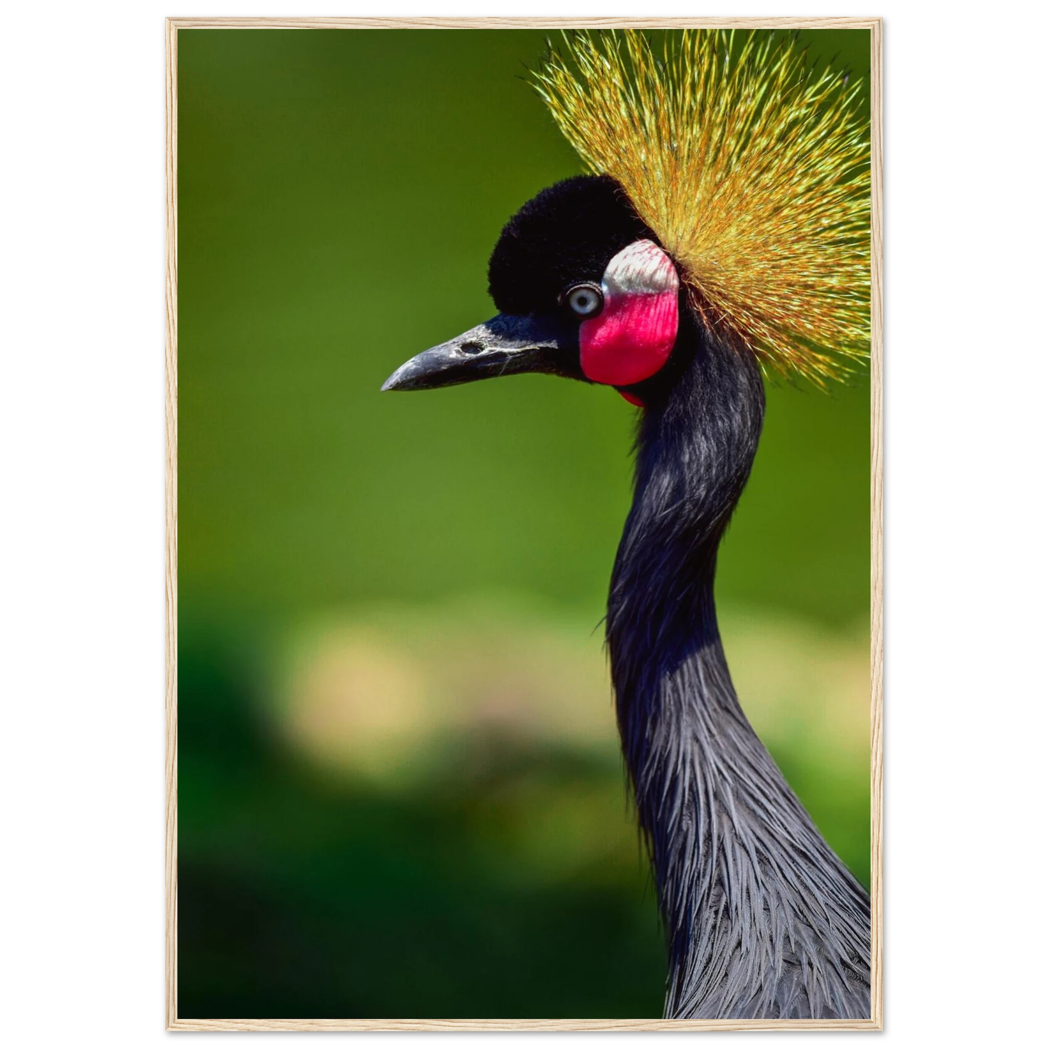 2a6fced2-2e82-4770-b43d-5468f22cc9c1