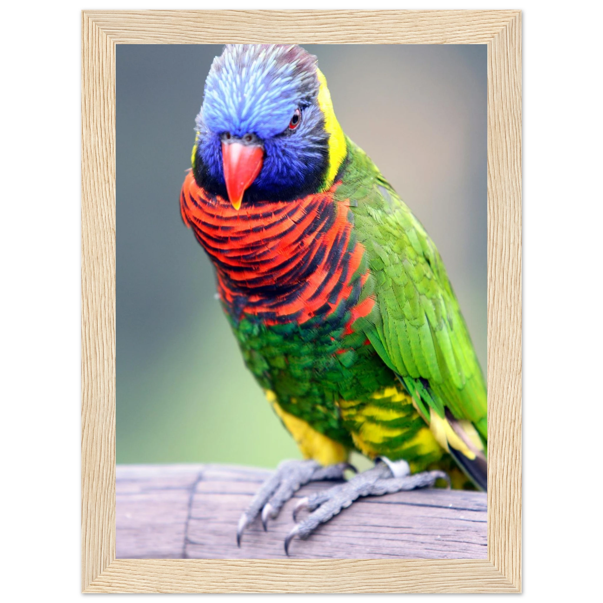 2a790911-02b9-481f-a6ca-9e96b0b93e70