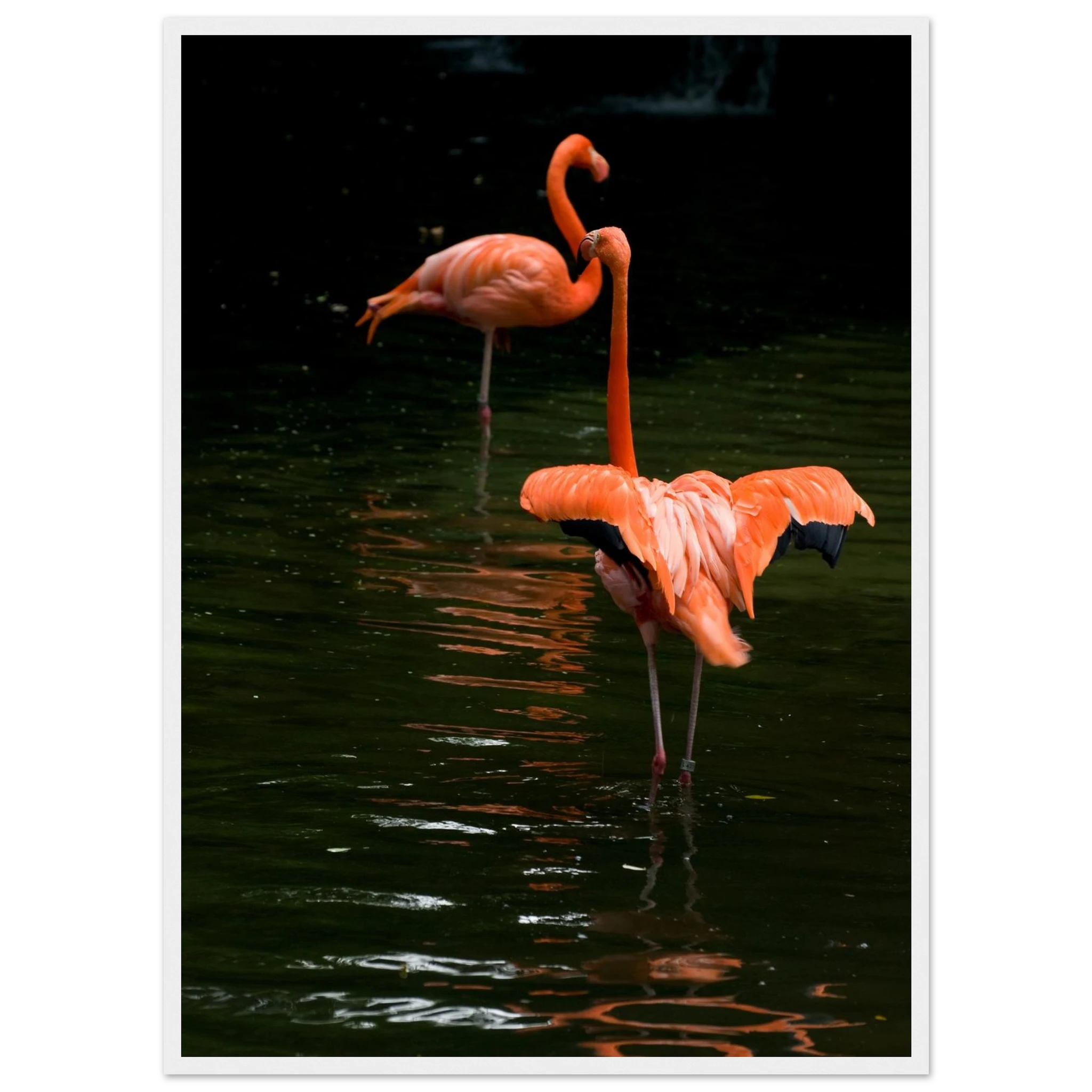 2a96b3cb-8a3a-4fea-8006-1a852d0929b2