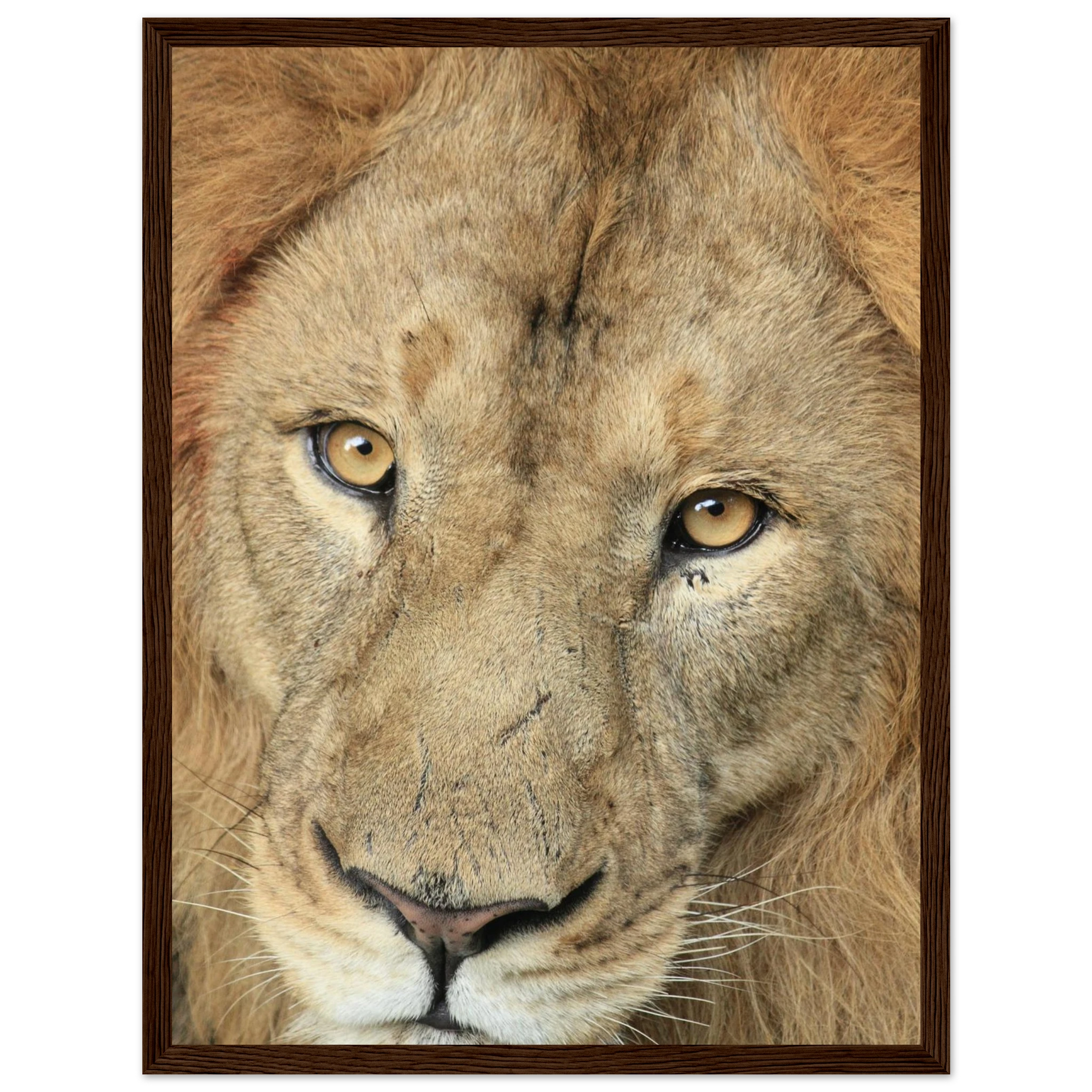 2a9a891a-5b2d-4649-8084-63875bdaff60