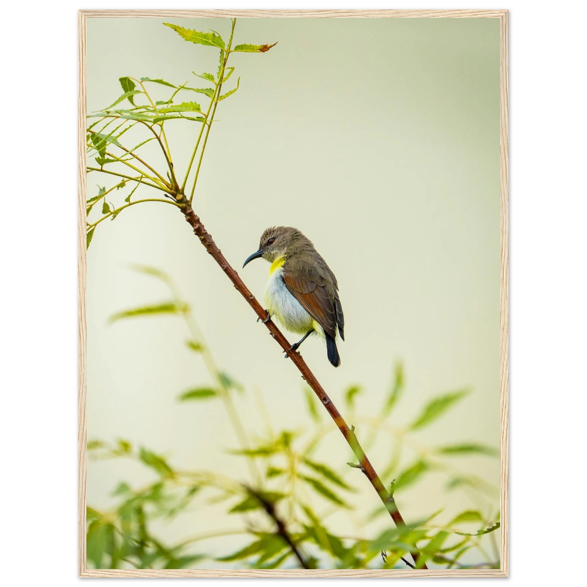 2aa403ea-eb57-4171-8da2-ae0e9ef58a79