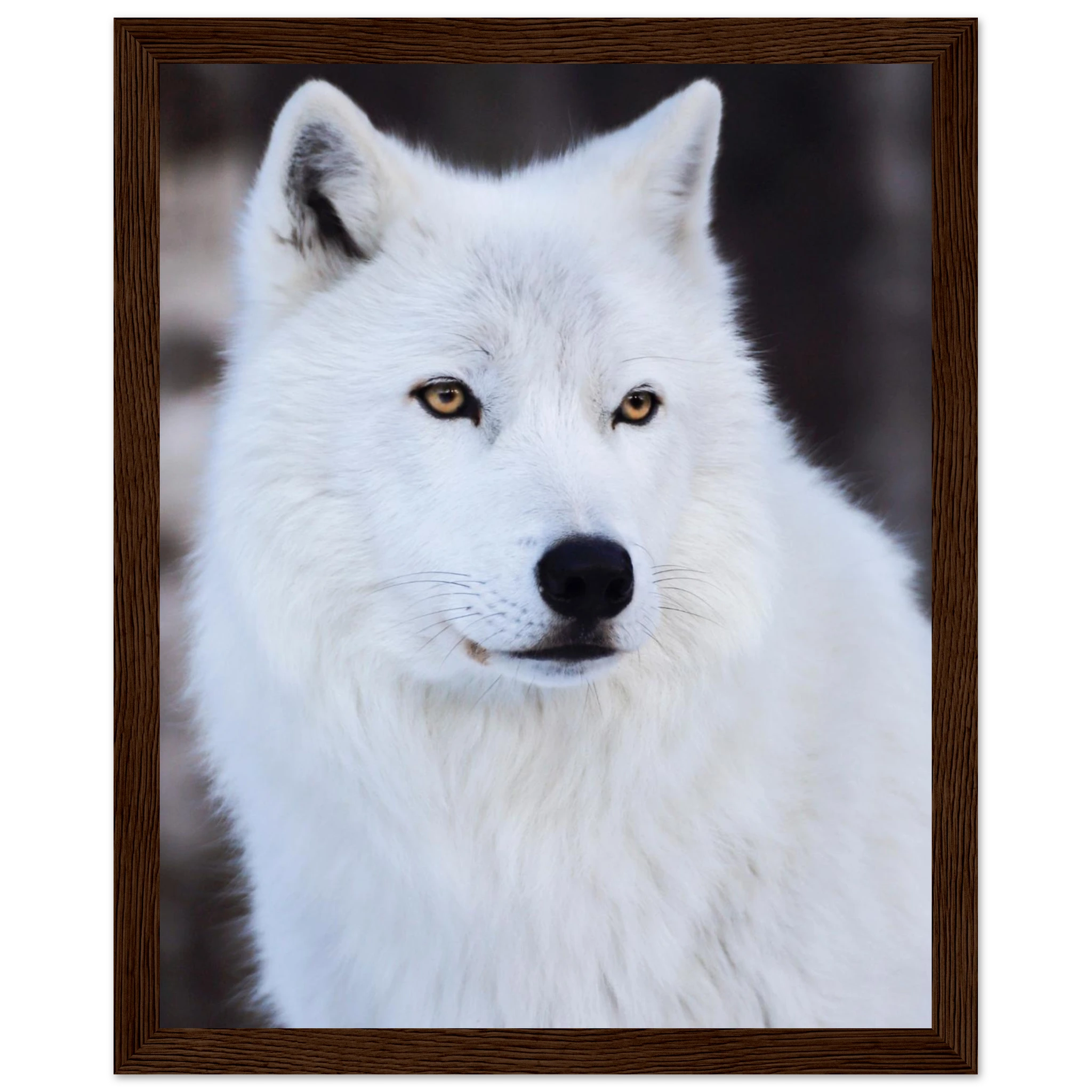 2ab1f0fd-0921-47bc-acd2-f9d920bc8314