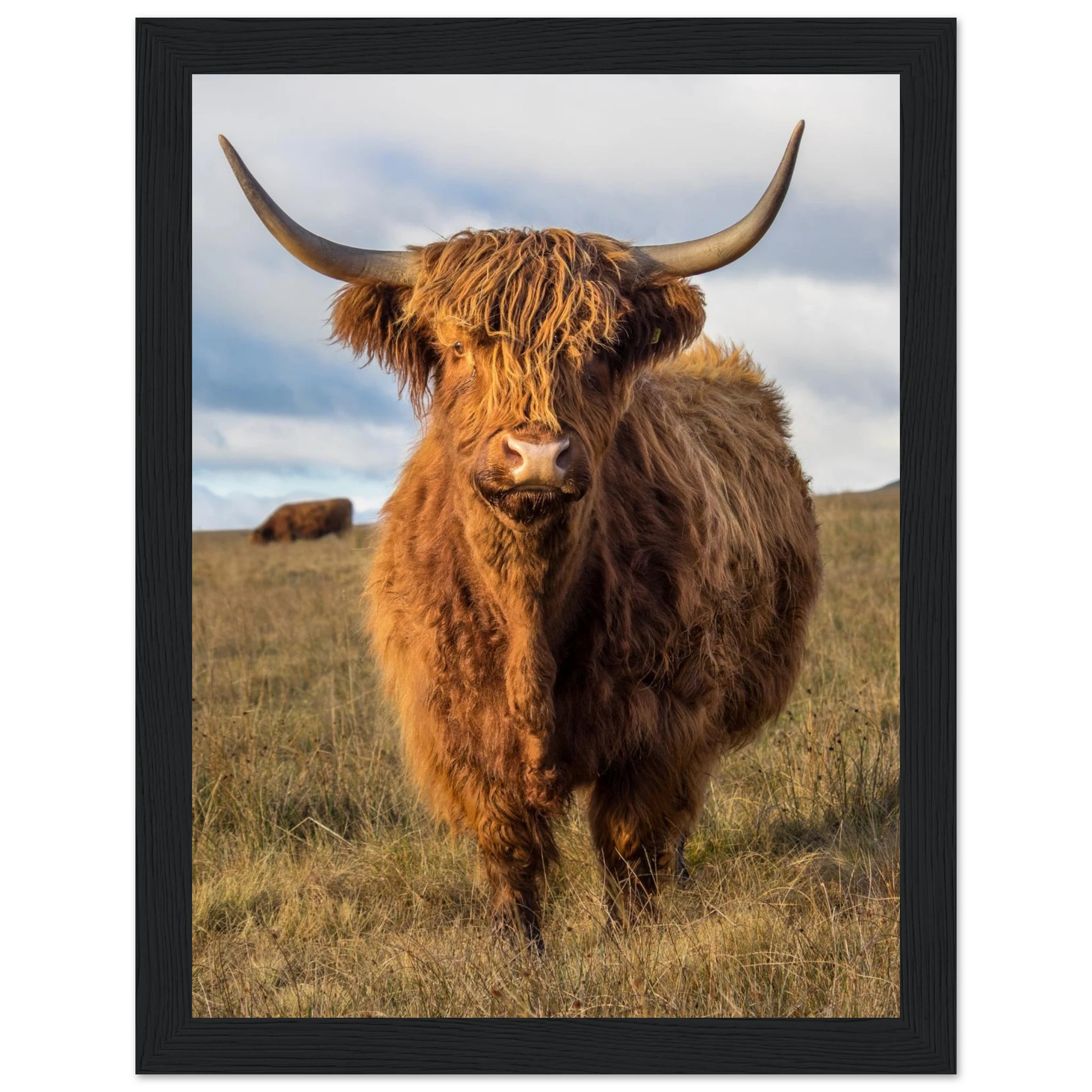 2aca856f-4cb2-4eb3-98fa-e6bf9bd41f15