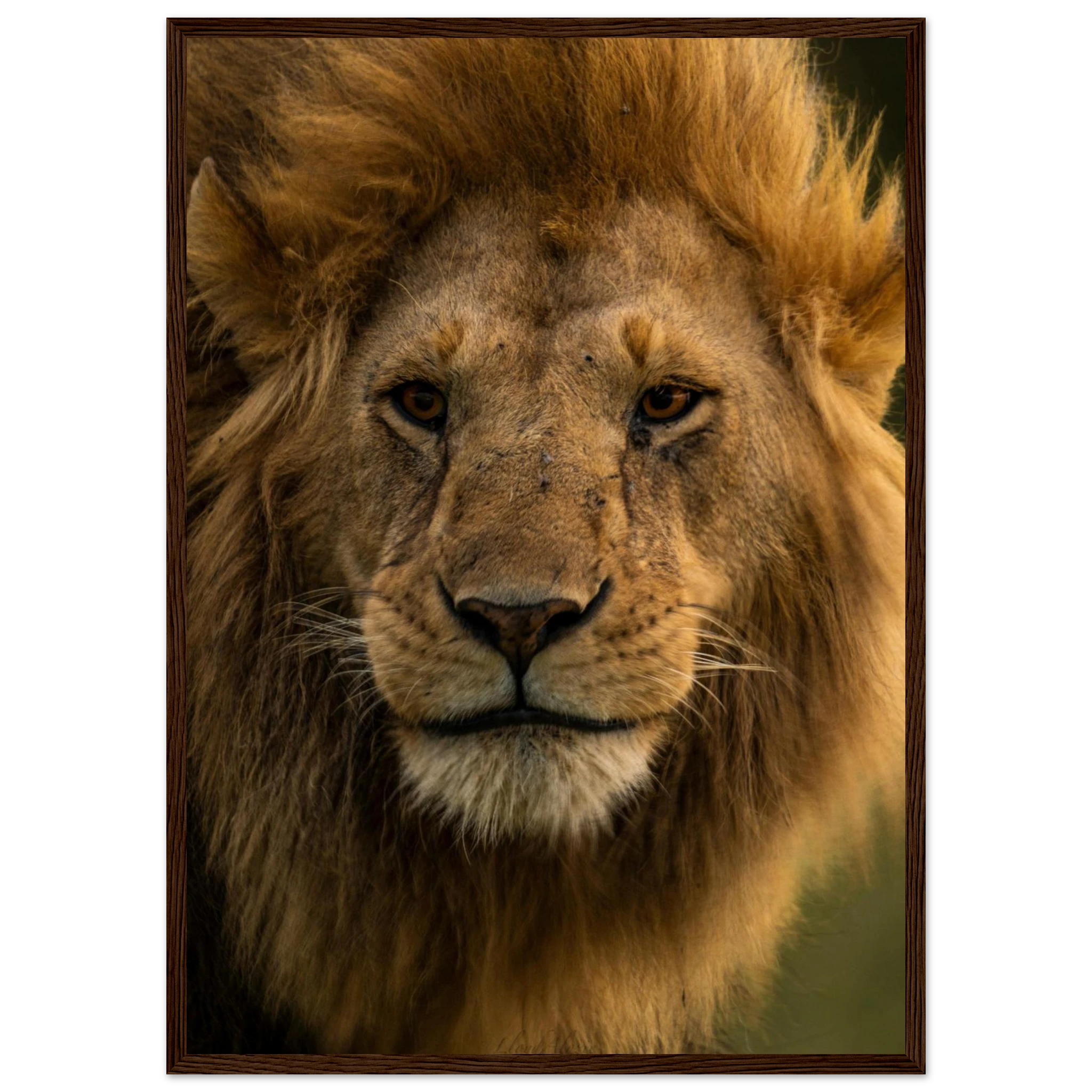 2acbec4d-df89-460d-b383-d233299cb8c5