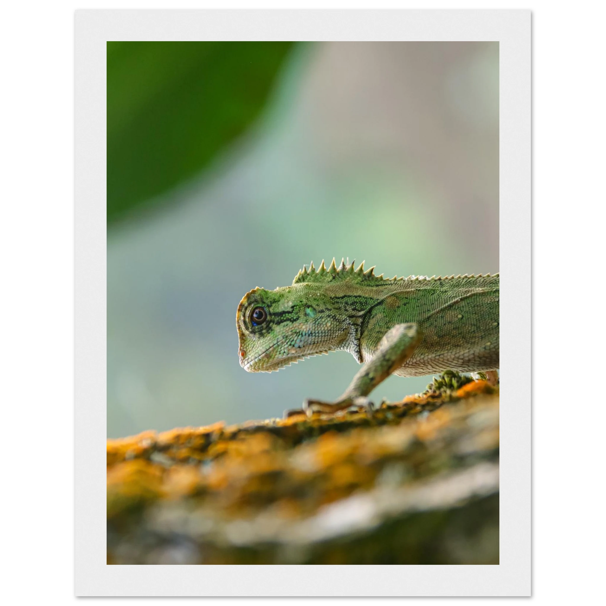 2ad389ba-516f-423e-a8e1-b70c99fb7f21