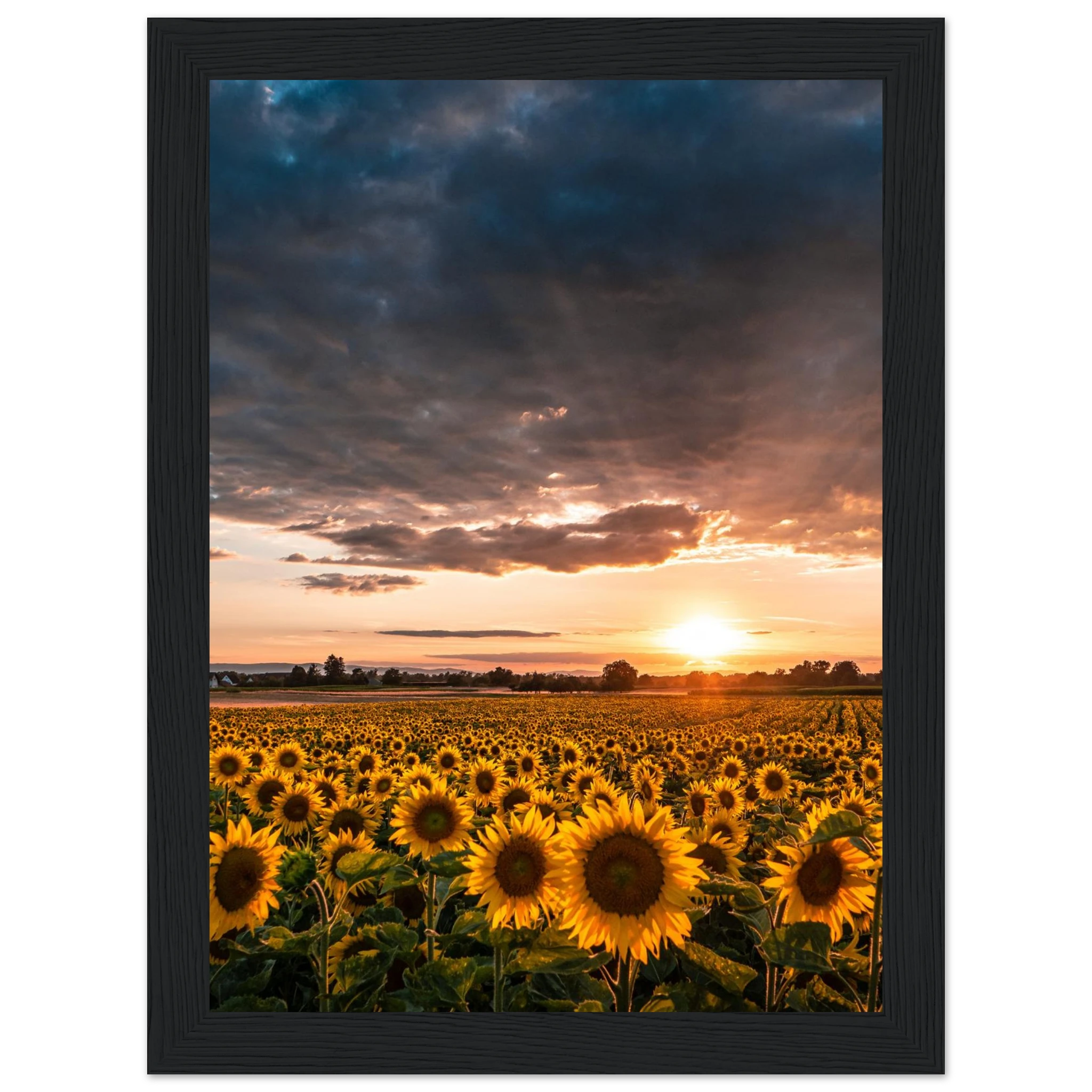 2afdb1b1-5f2f-4fef-8f15-b345f750fceb