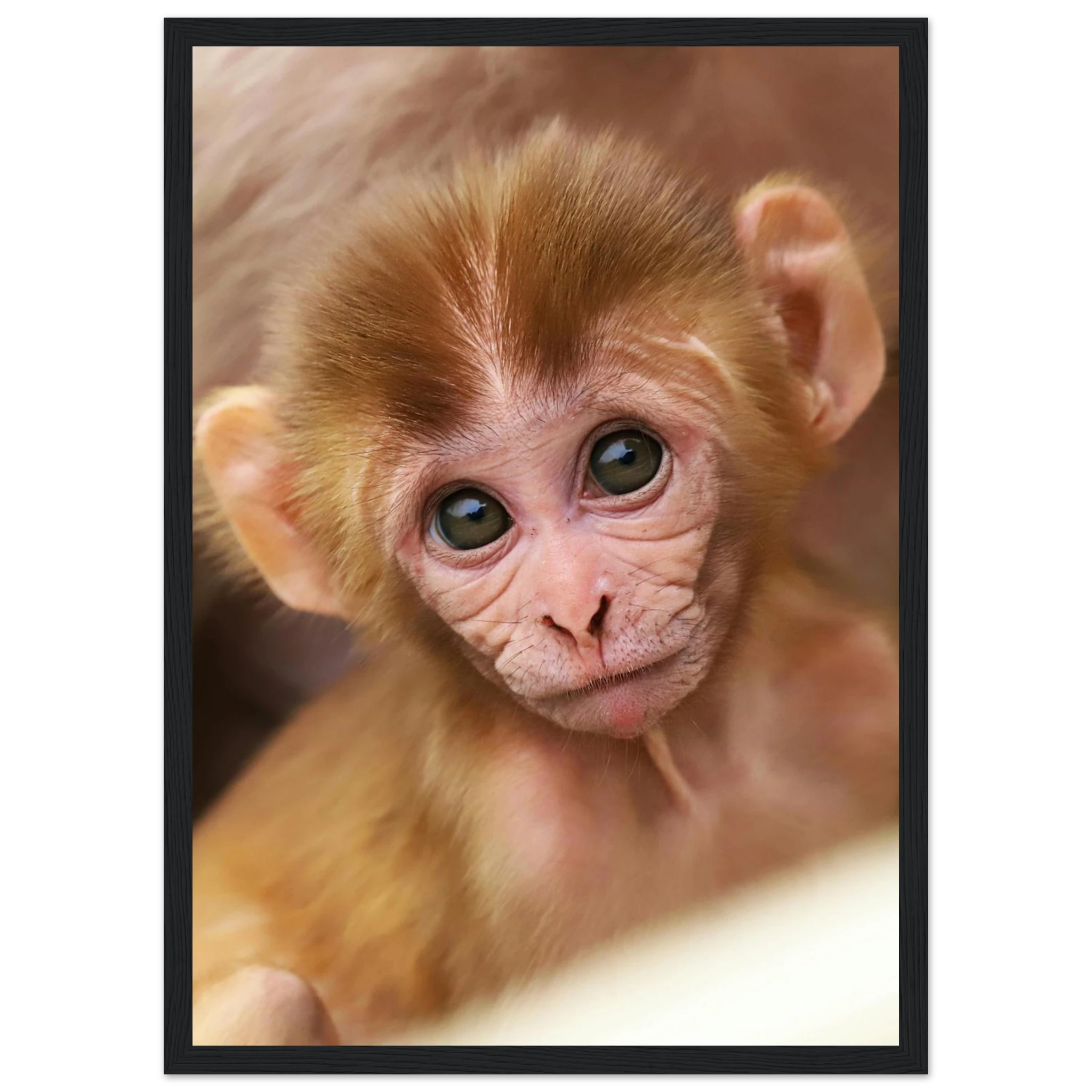 2b18a7b2-3e16-4660-bd1e-4fa6c5994283