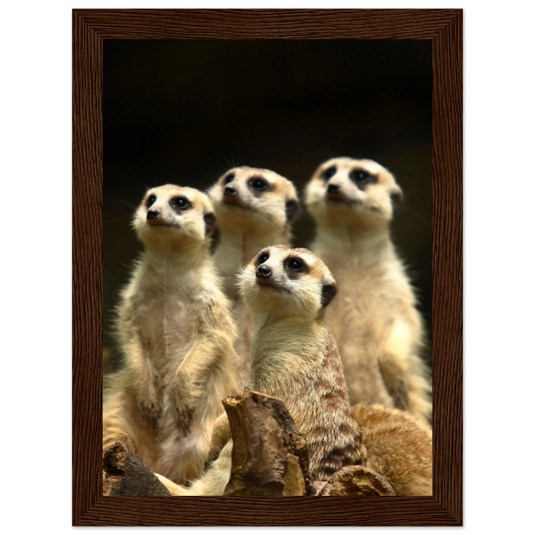 2b3ac478-2dde-4e5d-8a70-28bbeafa6aae