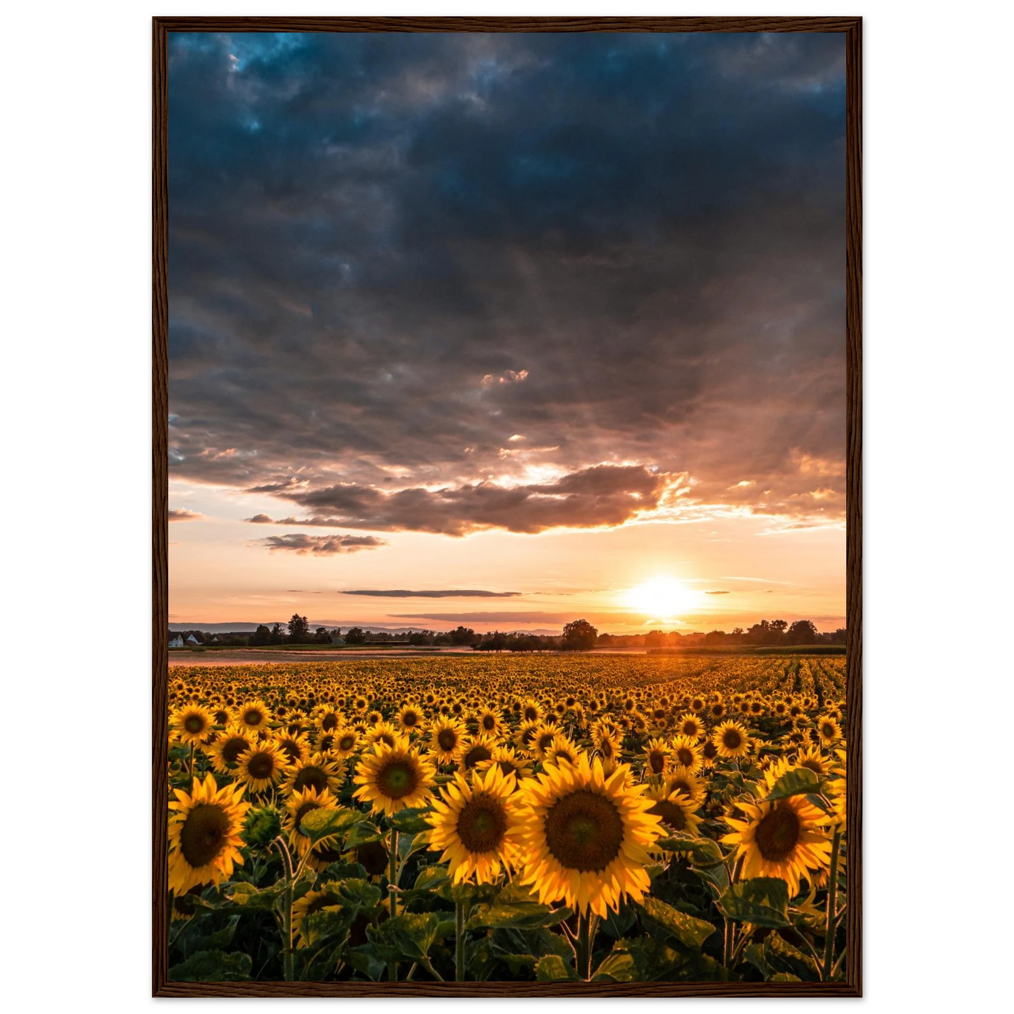 2b46309e-e7a9-4717-bf72-ba977b1ebf77