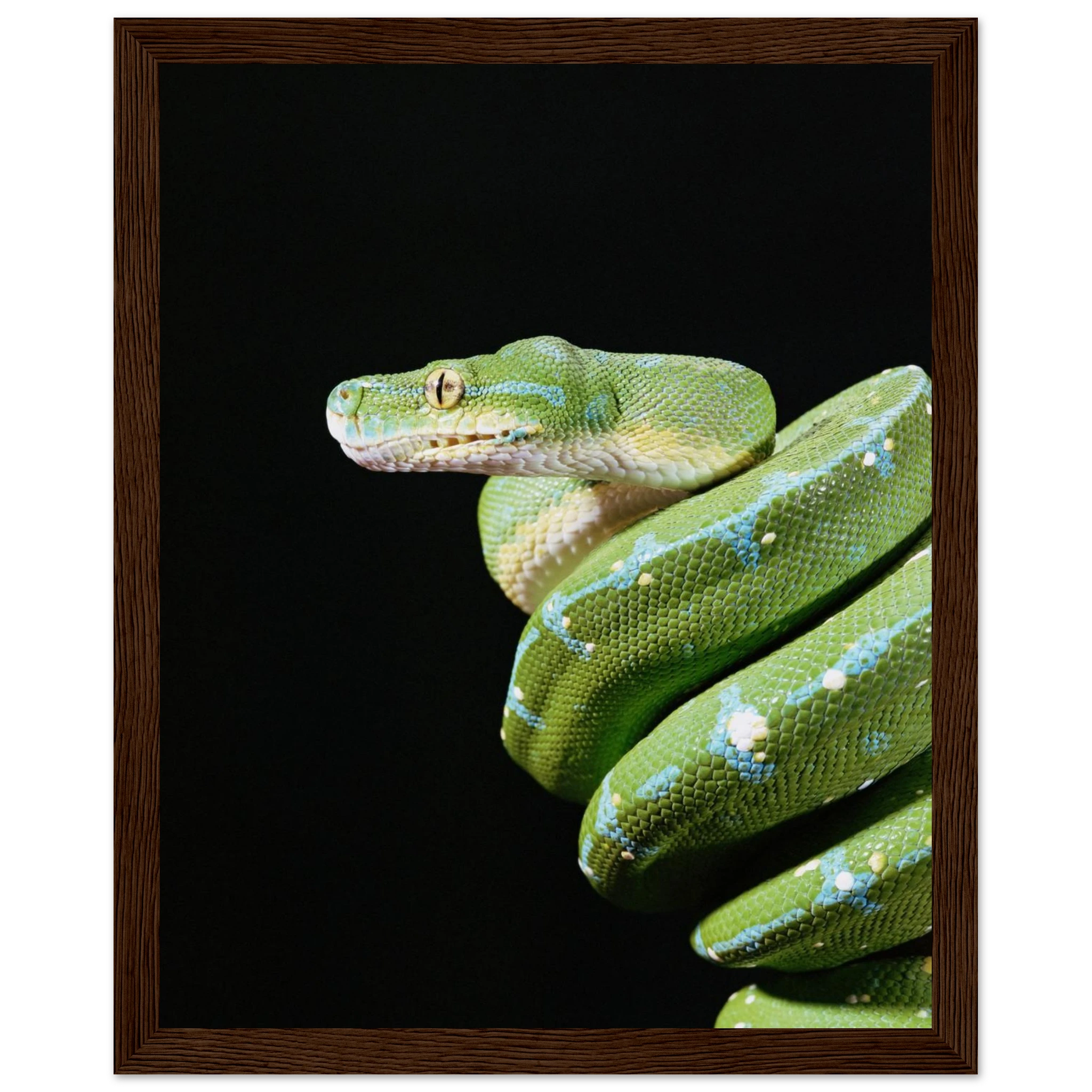 2b5ae740-4ba1-4e7b-9658-b280d19b22bd